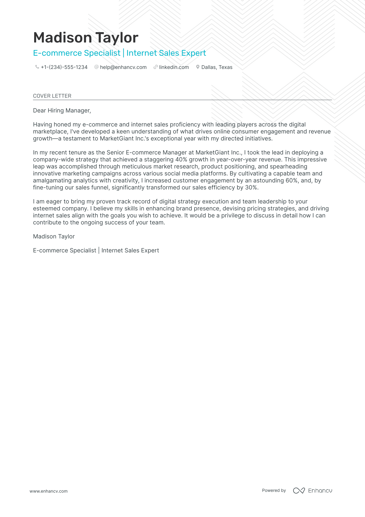 Online Sales Manager Resume Example