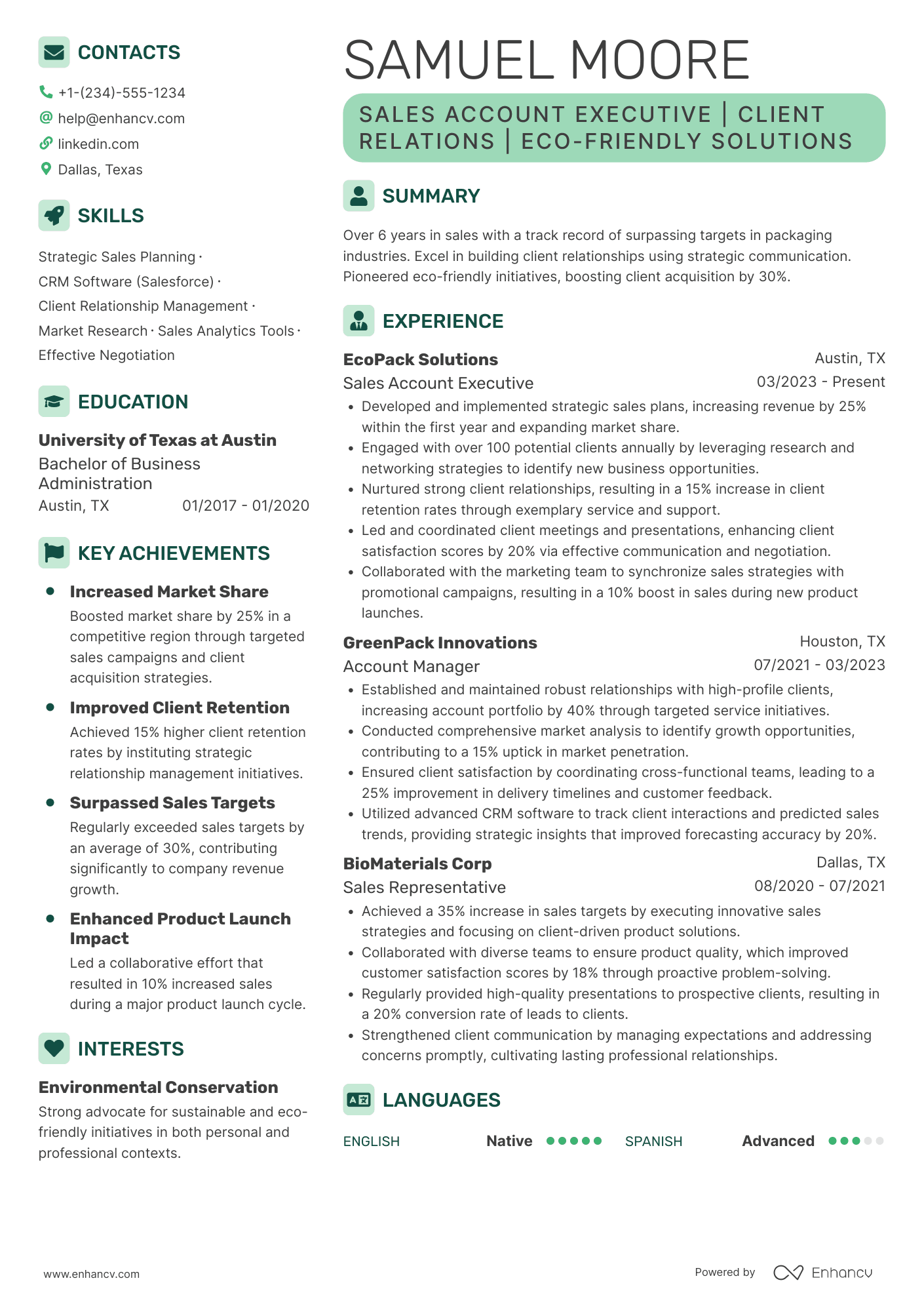 Sales Account Executive Resume Example