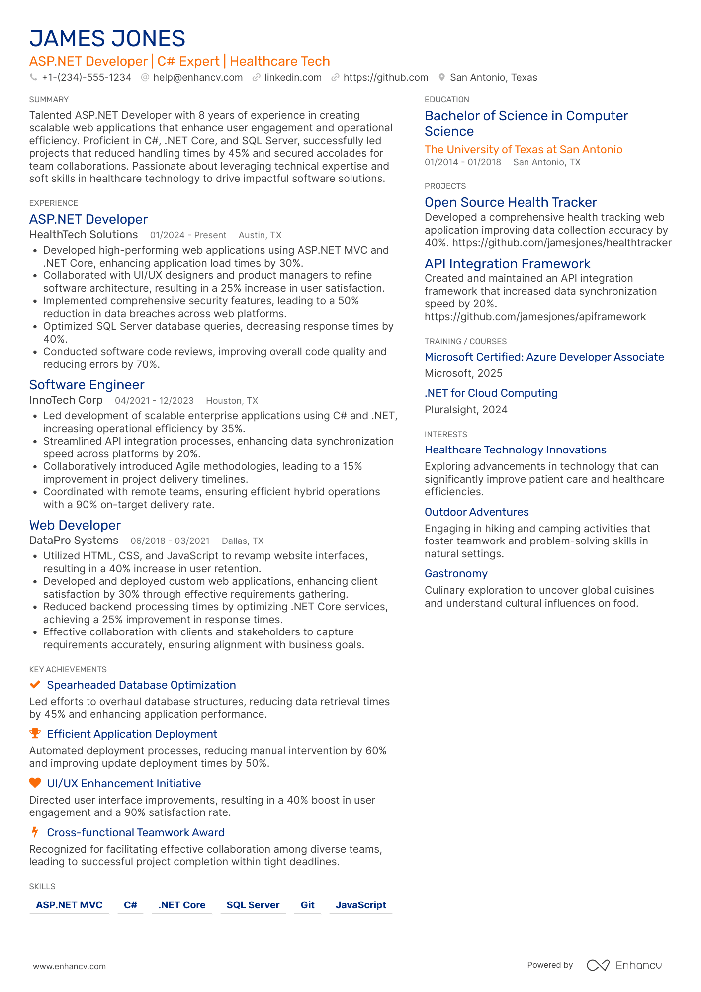 Asp.Net Developer Resume Example