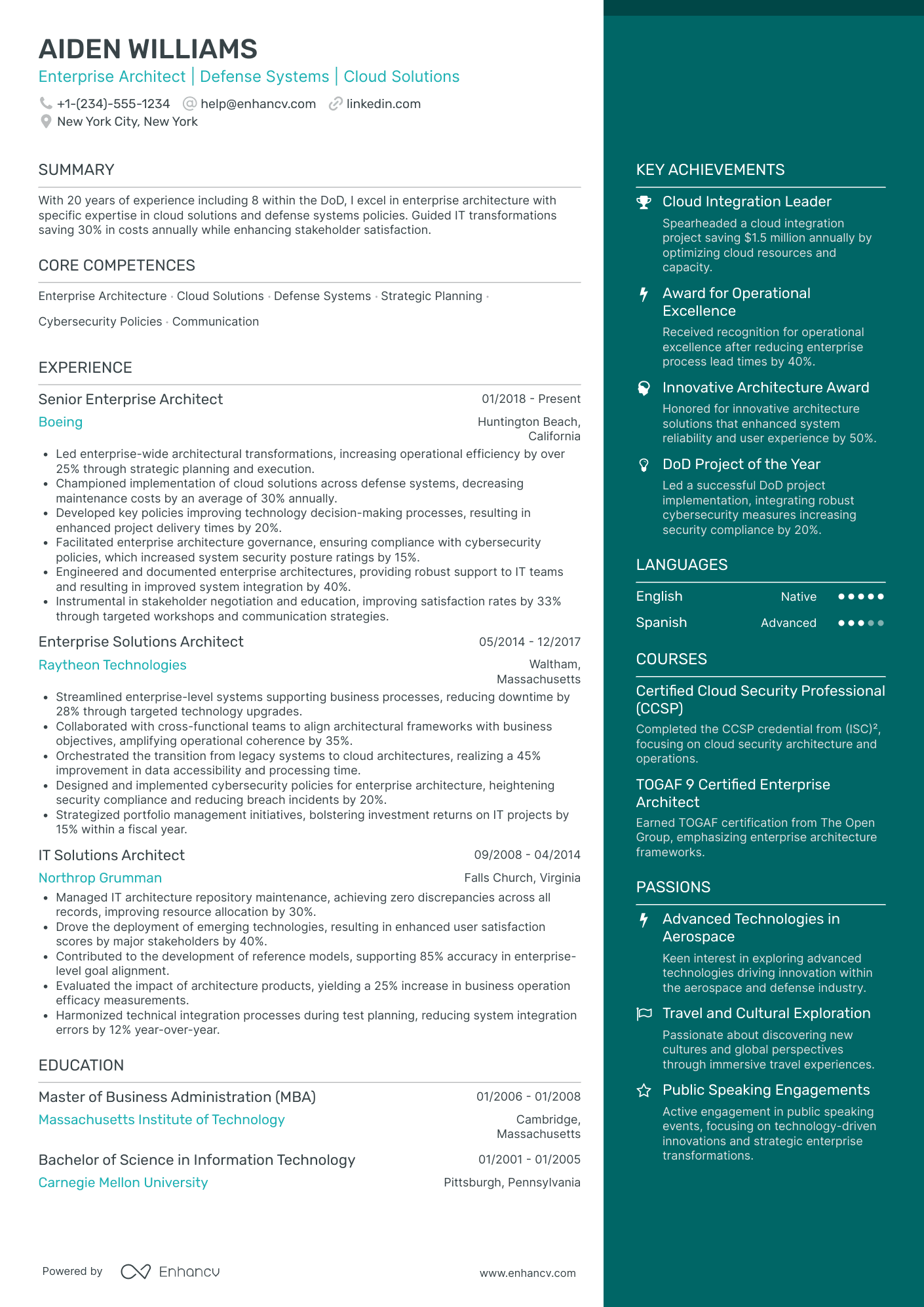 Chief Digital Transformation Officer Resume Example