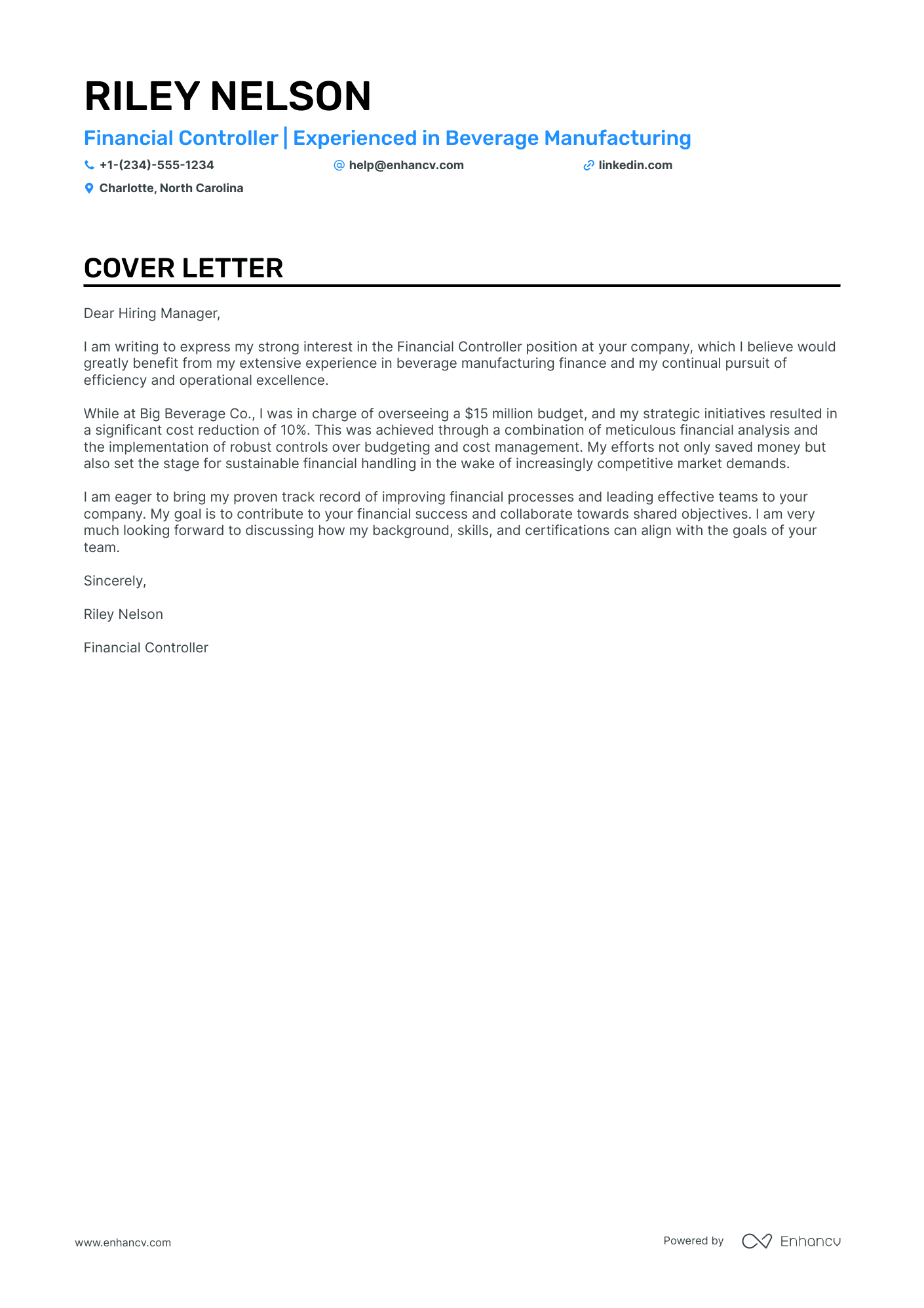 Modern CEO Resume Example