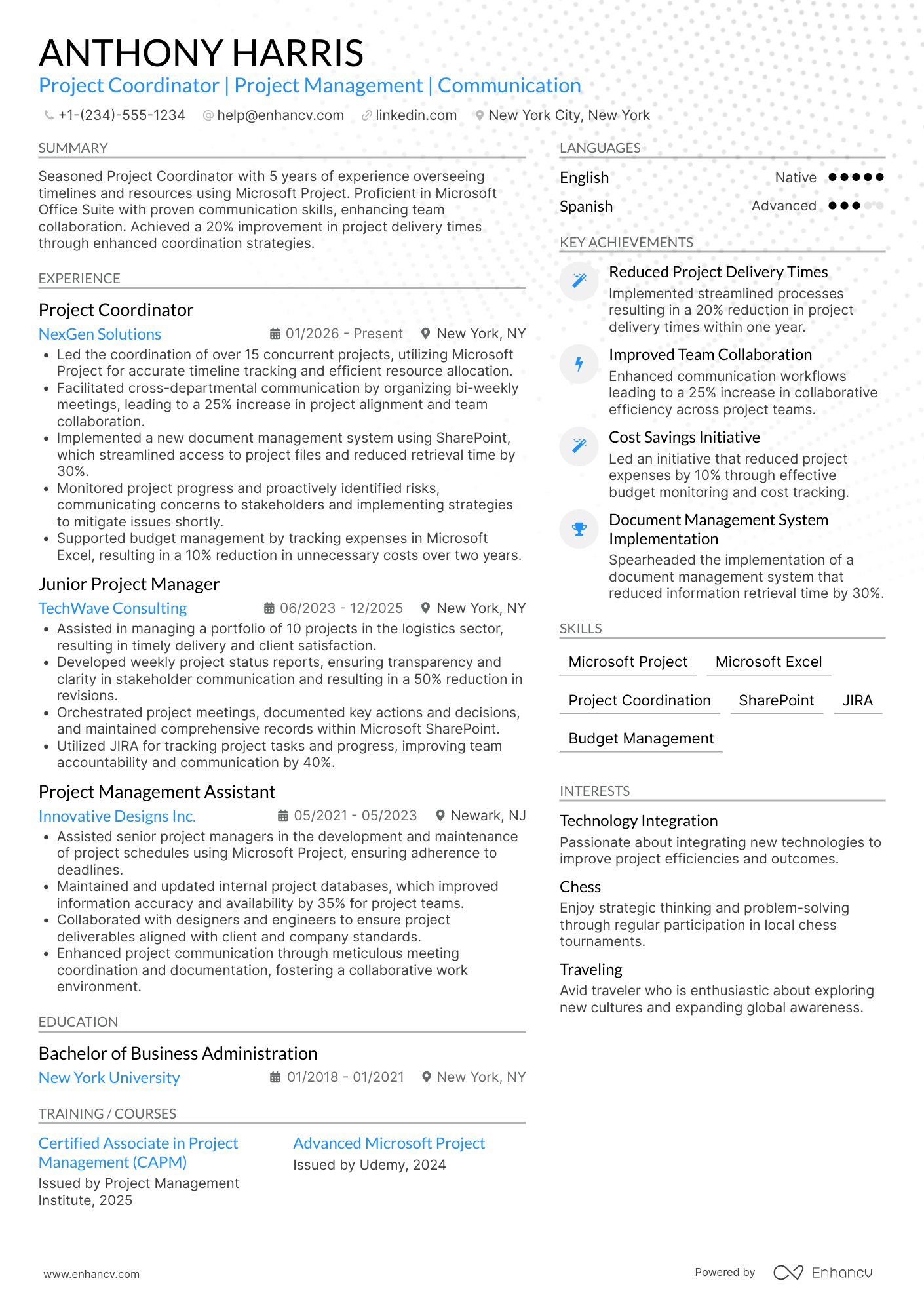 Microsoft Project Coordinator Resume Example