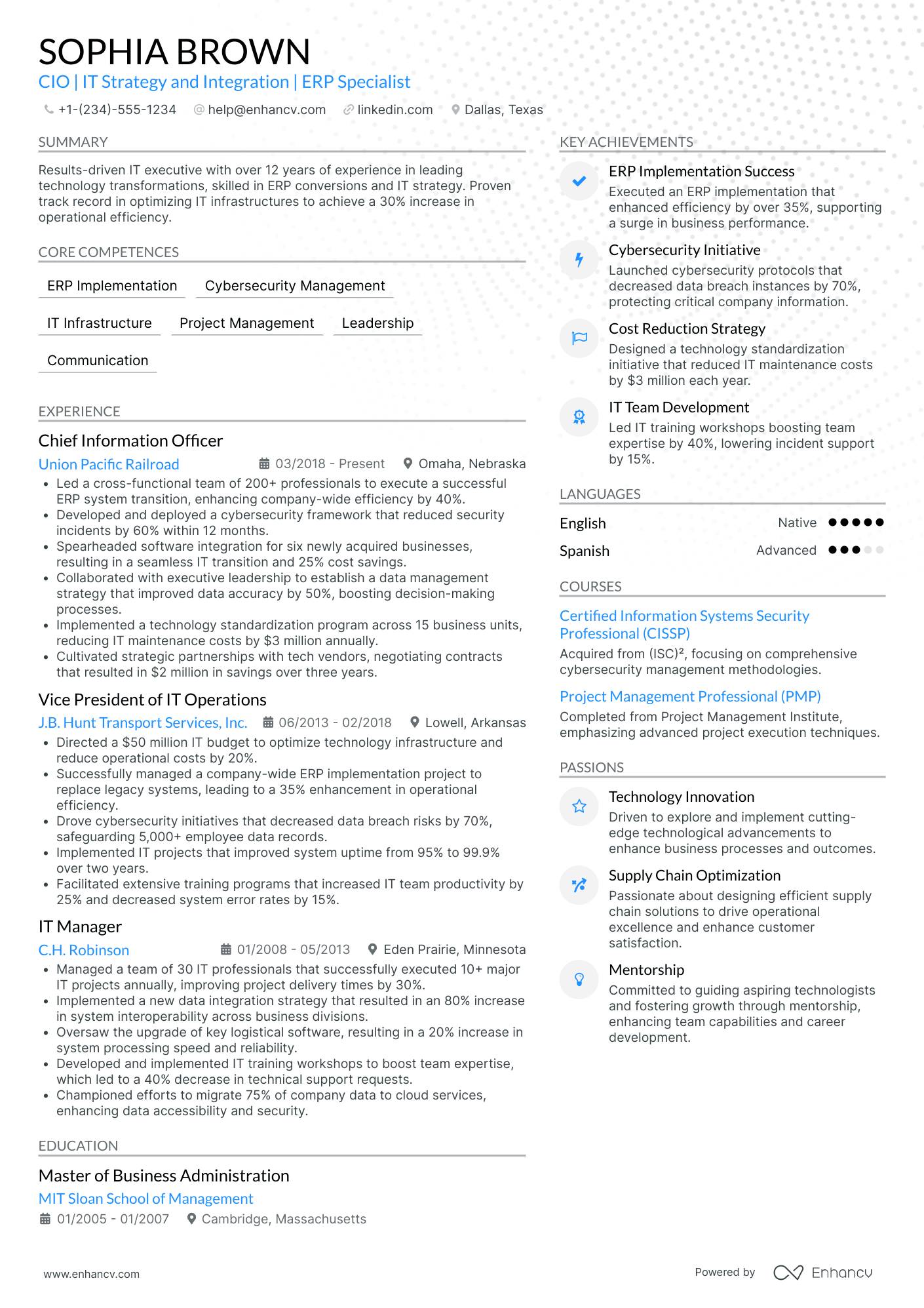 Chief Information Officer in Transportation Resume Example