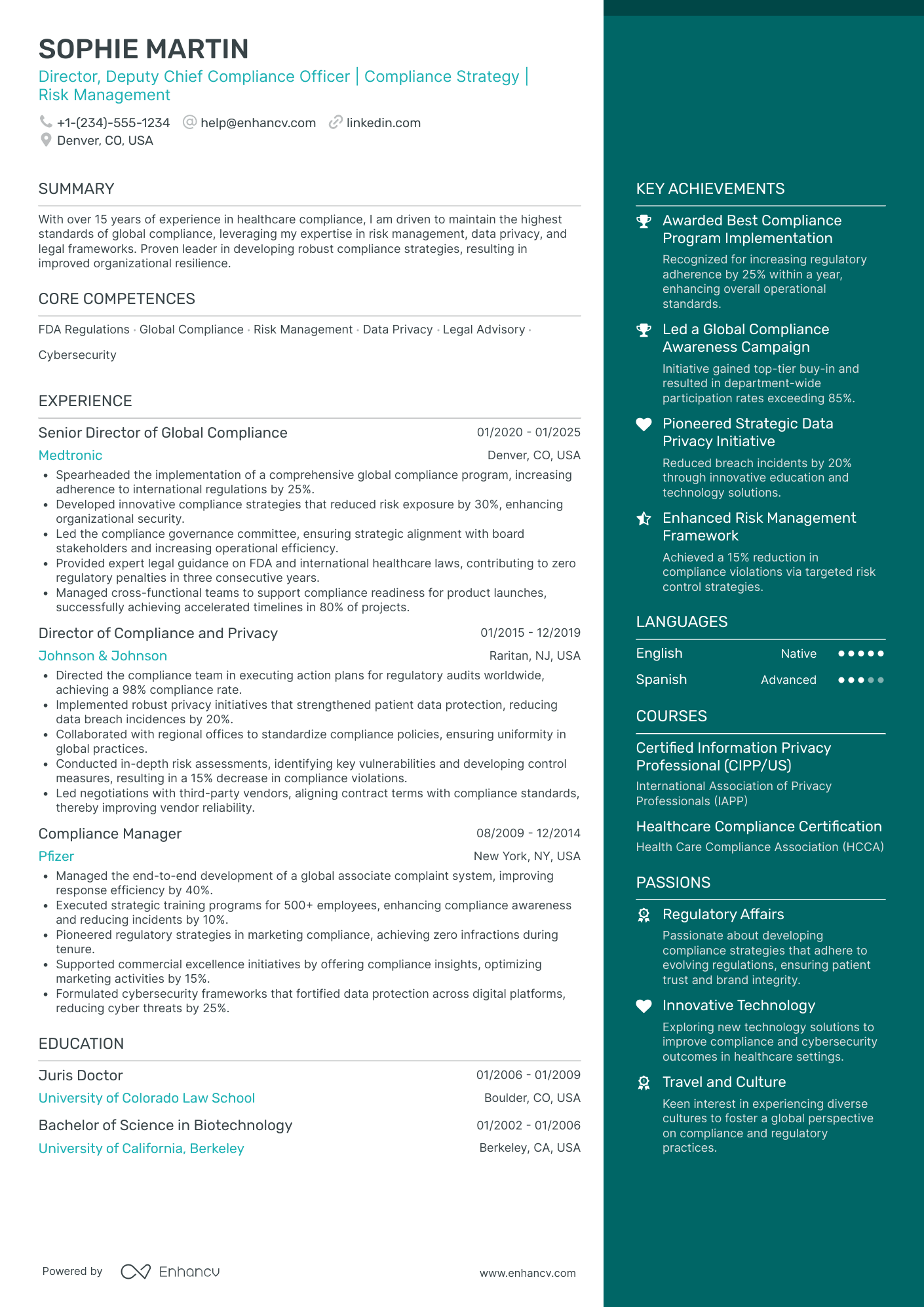 Global Chief Integrity Officer Resume Example