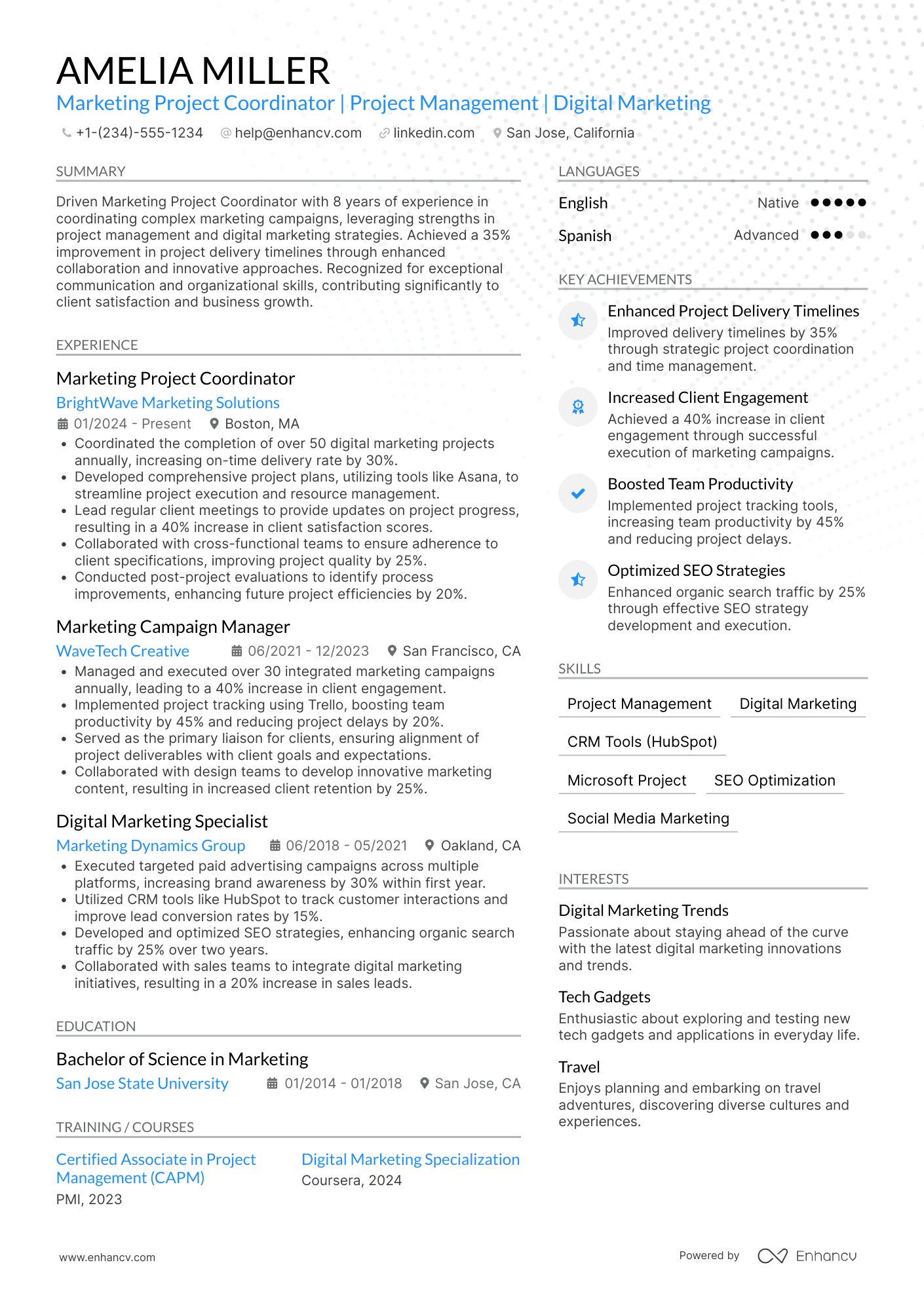 Marketing Project Coordinator Resume Example