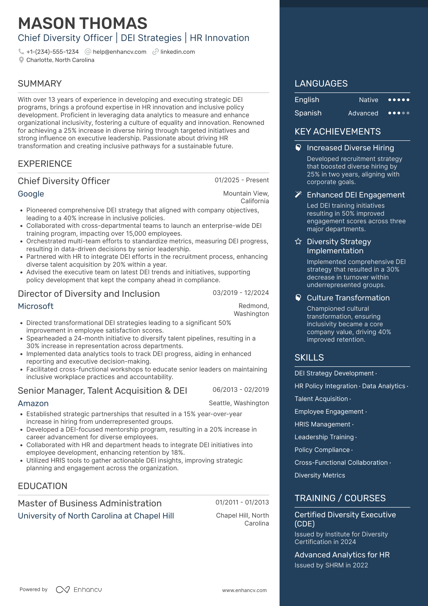 Chief Diversity Officer for Human Resources Resume Example