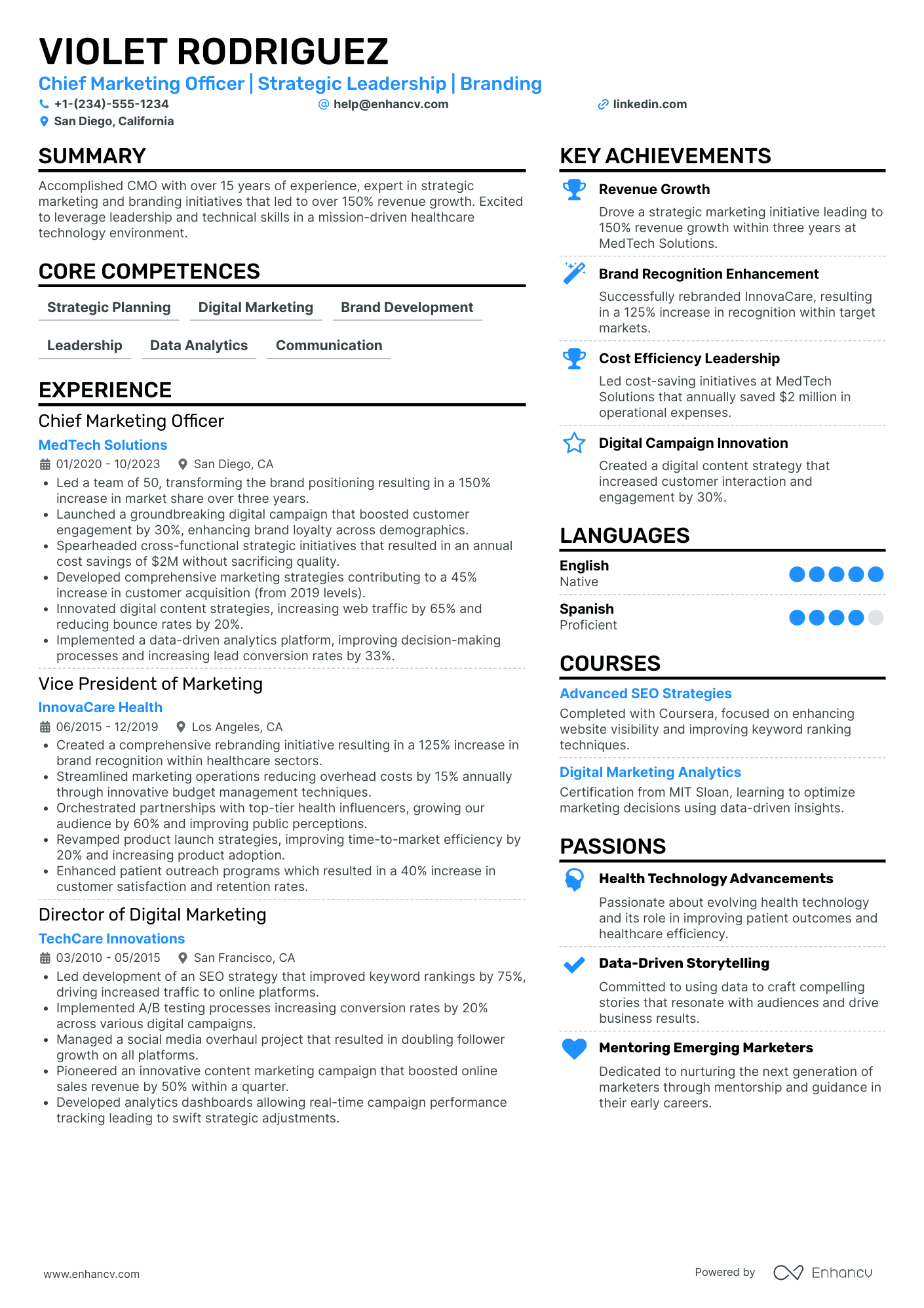 Chief Technology Officer for Environmental Solutions Resume Example