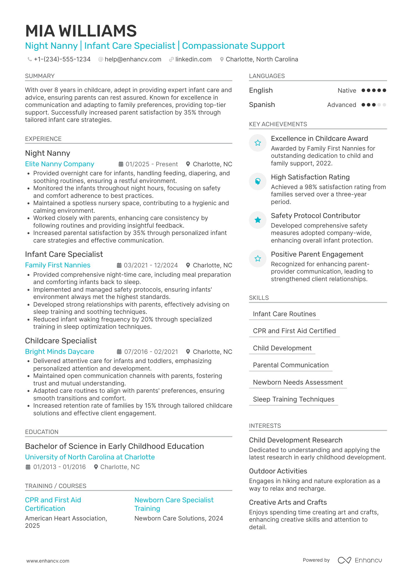 Night Nanny Resume Example