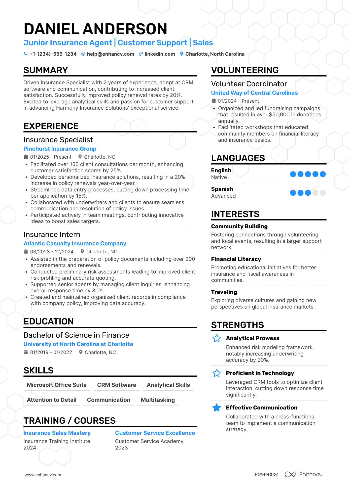 Junior Insurance Agent Resume Example