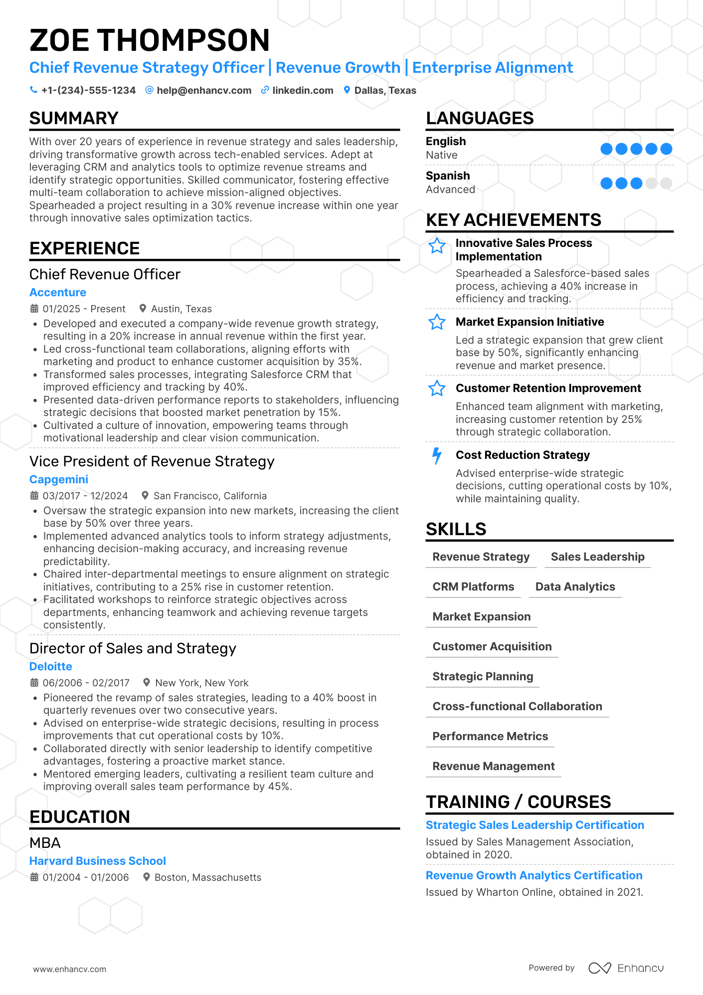 Chief Revenue Strategy Officer Resume Example