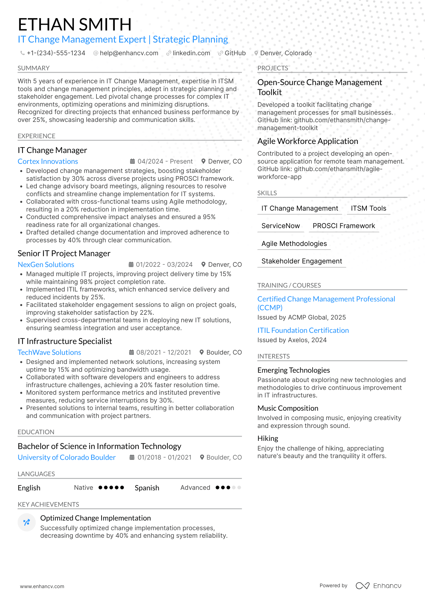 IT Change Manager Resume Example