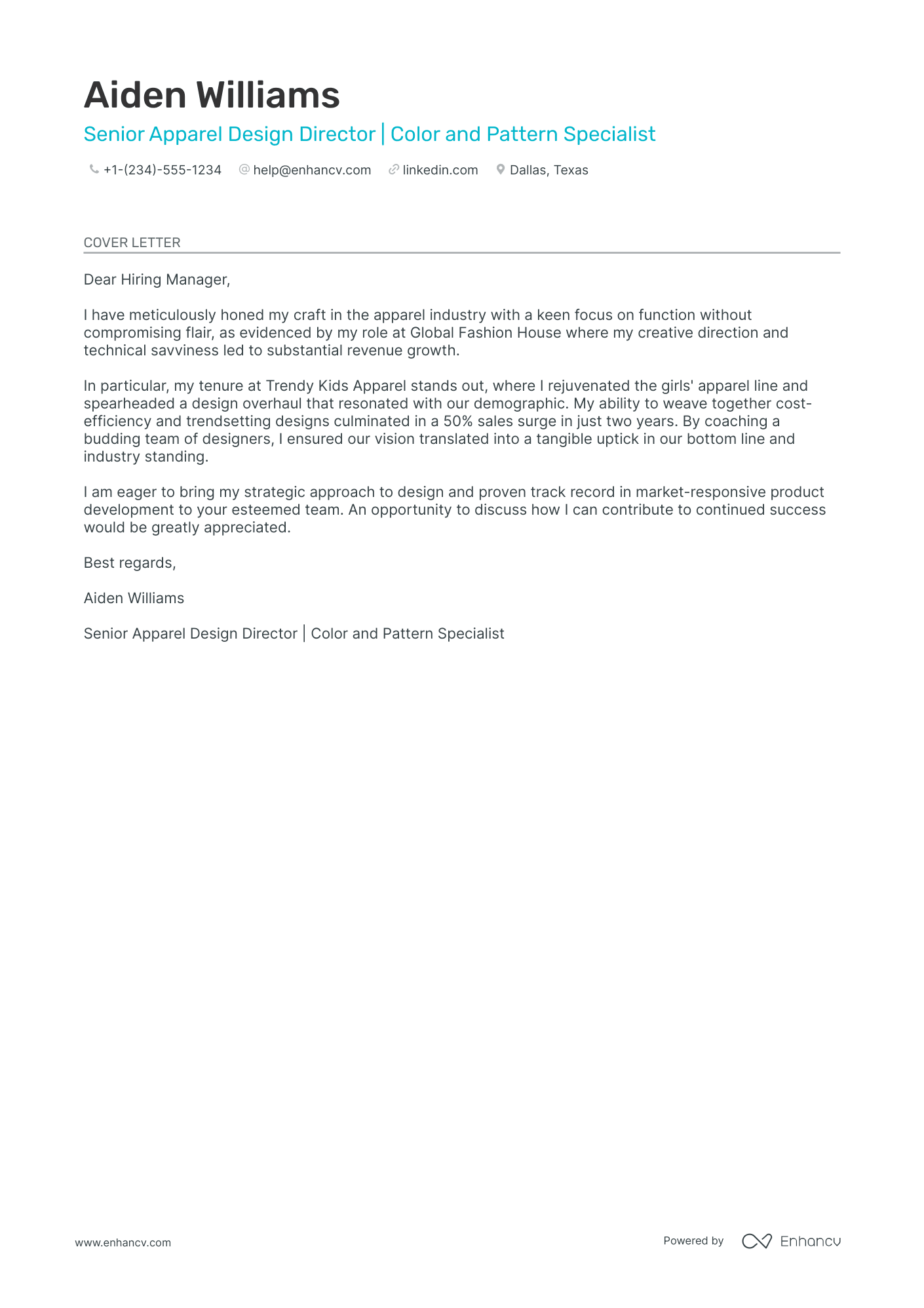 Design Director Resume Example