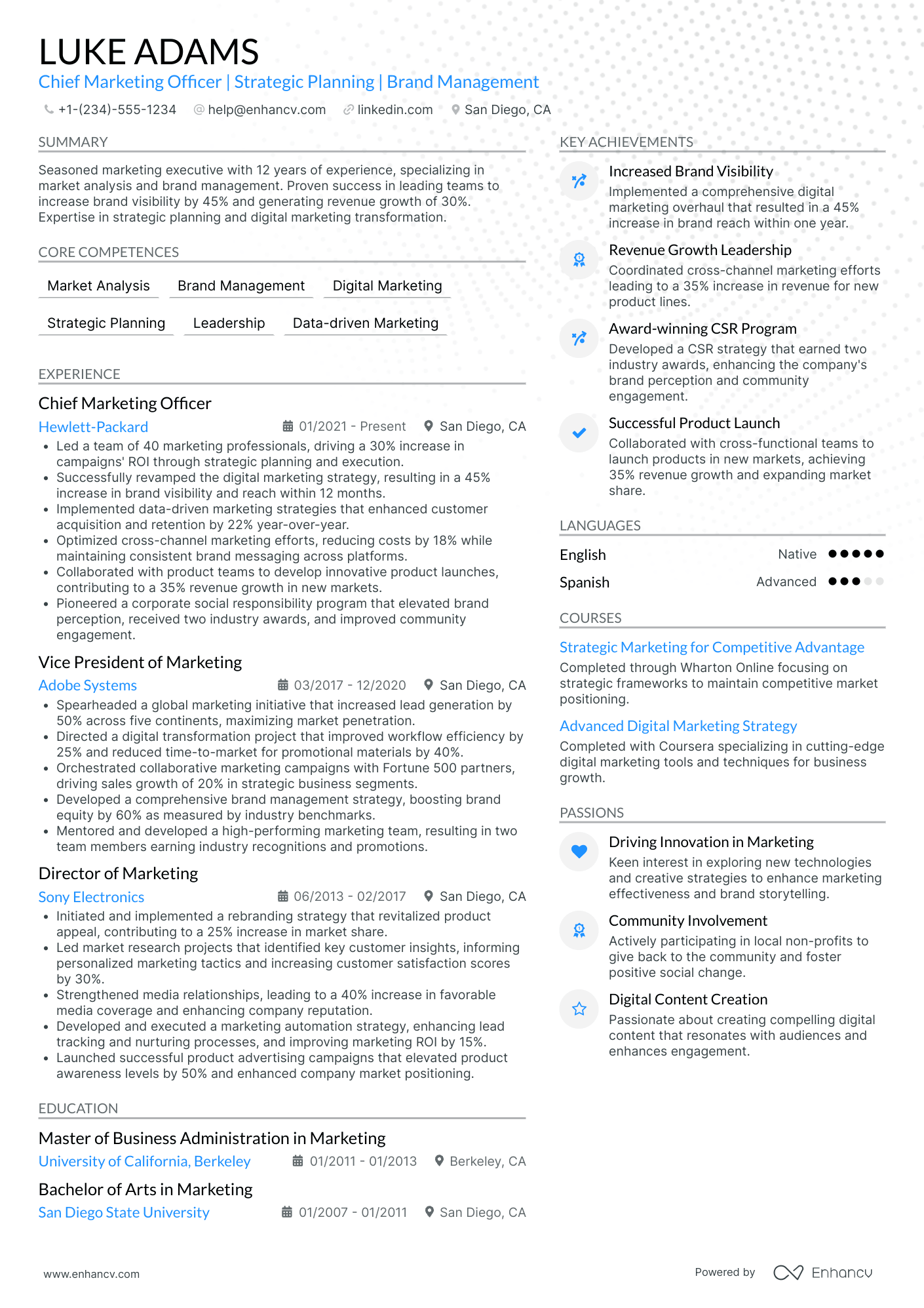 Chief Legal Officer in Retail Resume Example