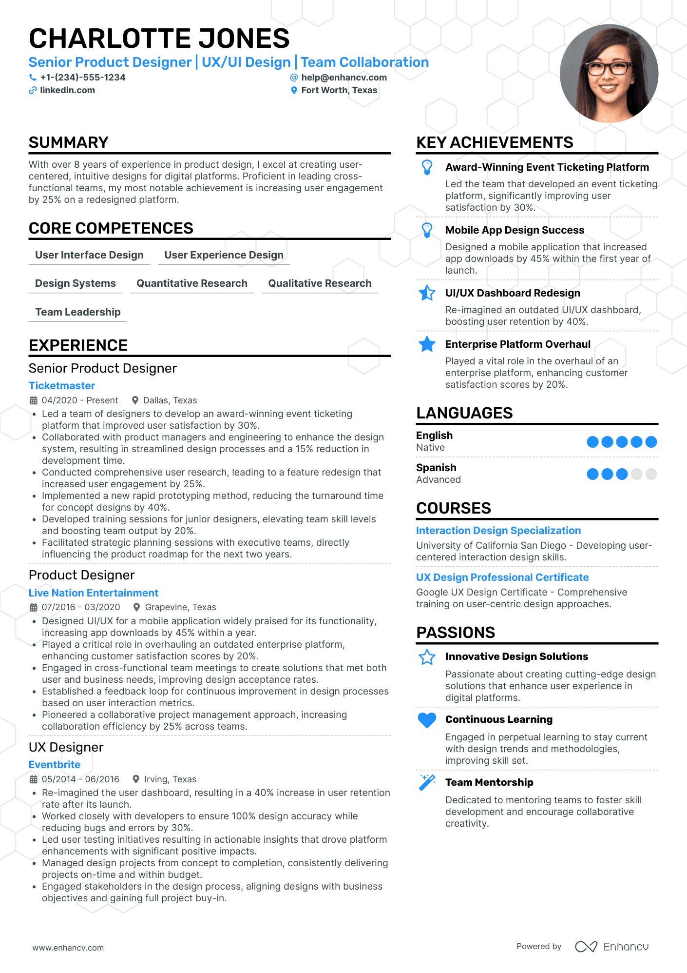 Chief Experience Officer Resume Example