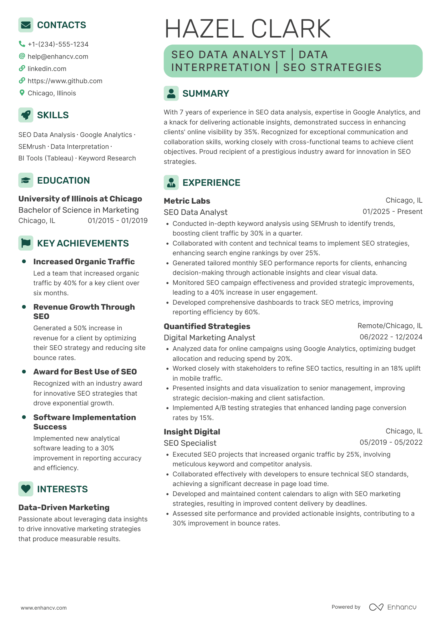 SEO Data Analyst Resume Example