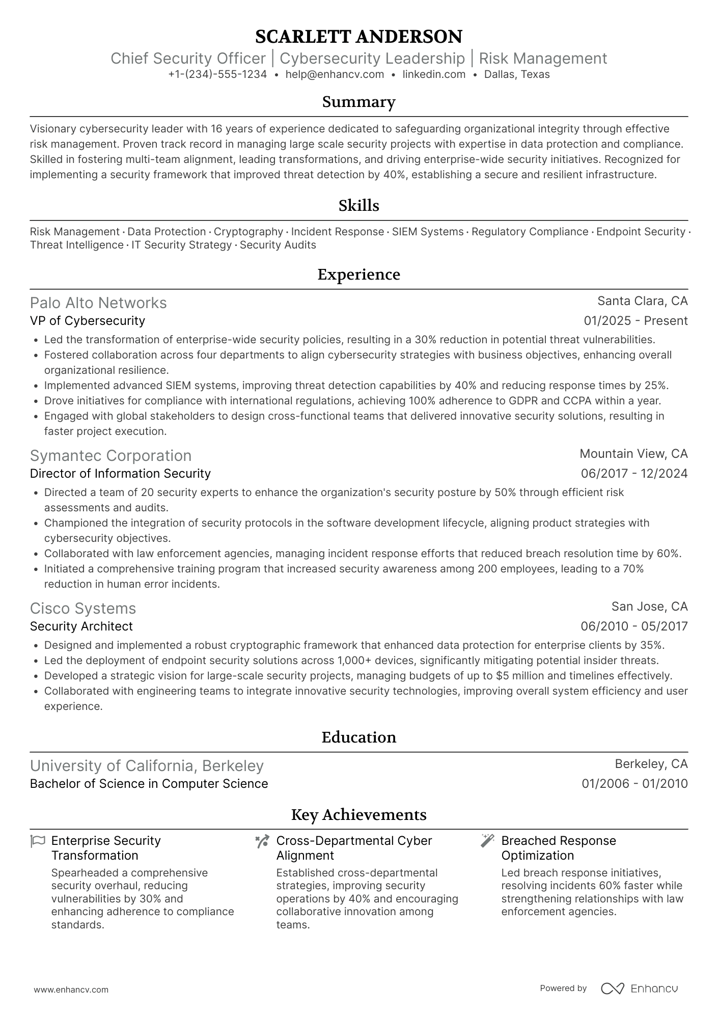 Chief Security Officer (CSO) Resume Example