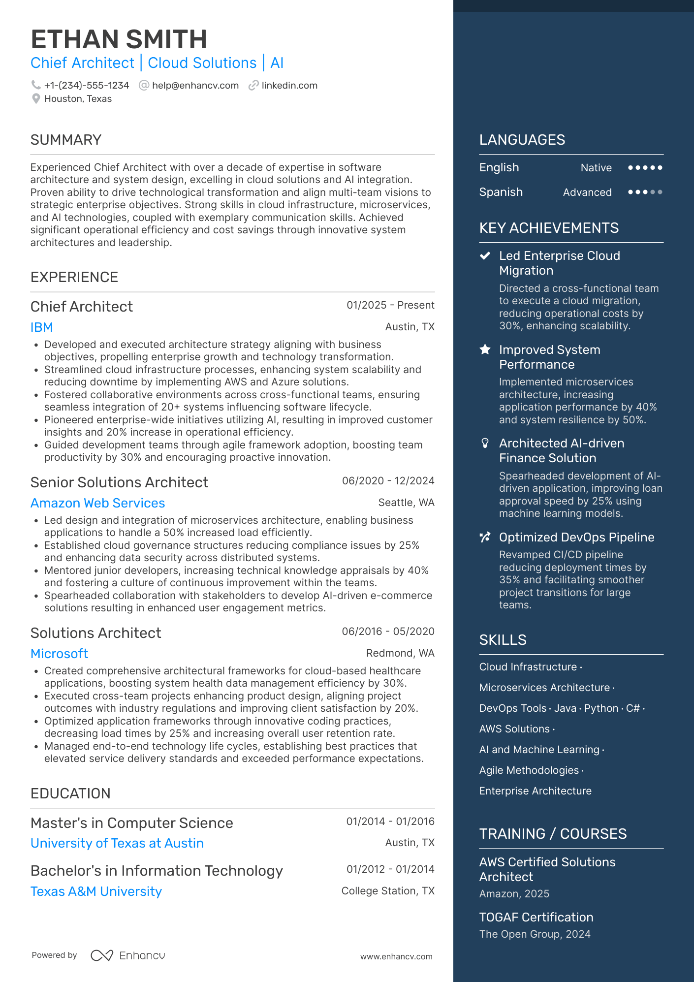 Chief Architect Resume Example