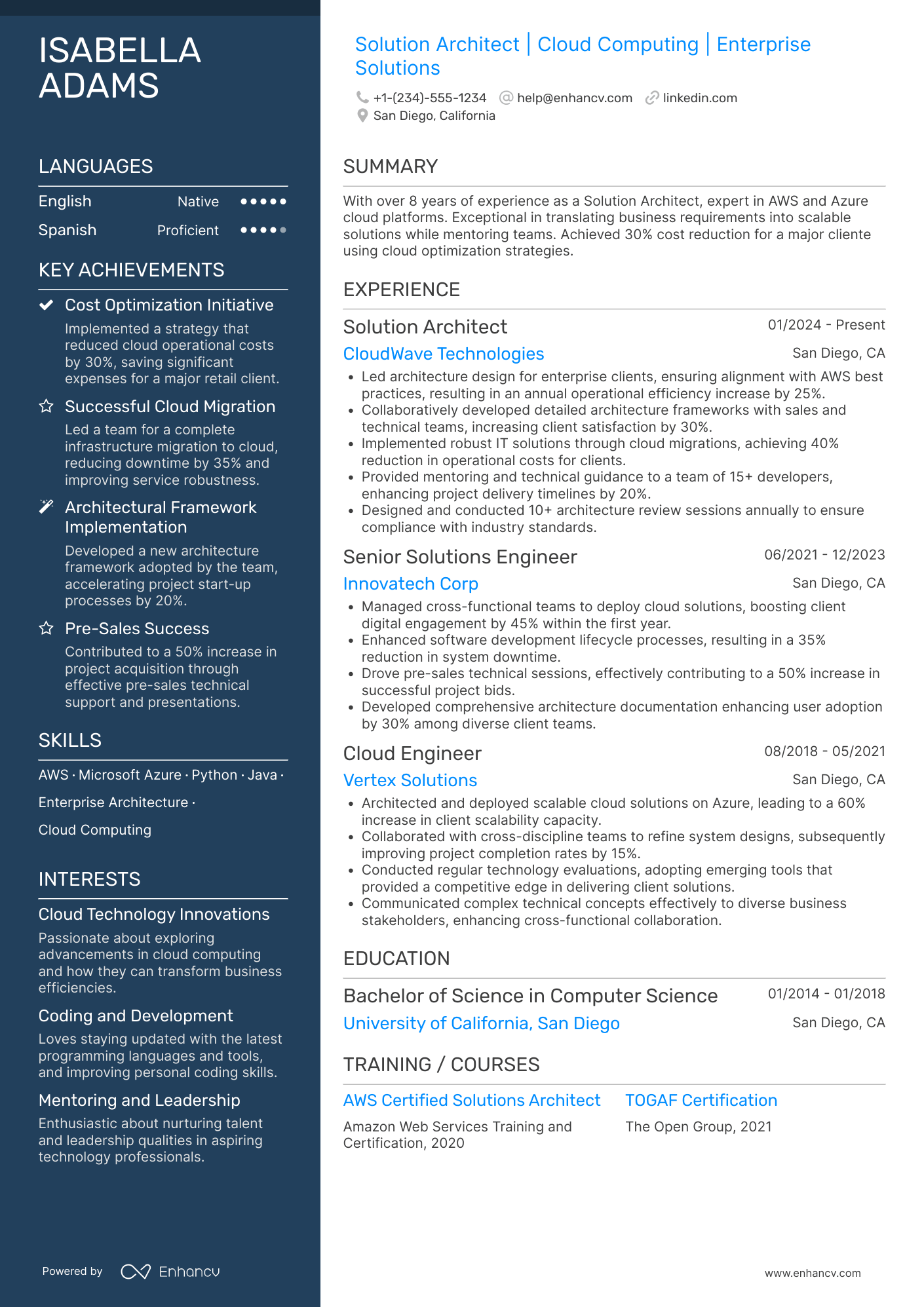 Solution Architect Resume Example
