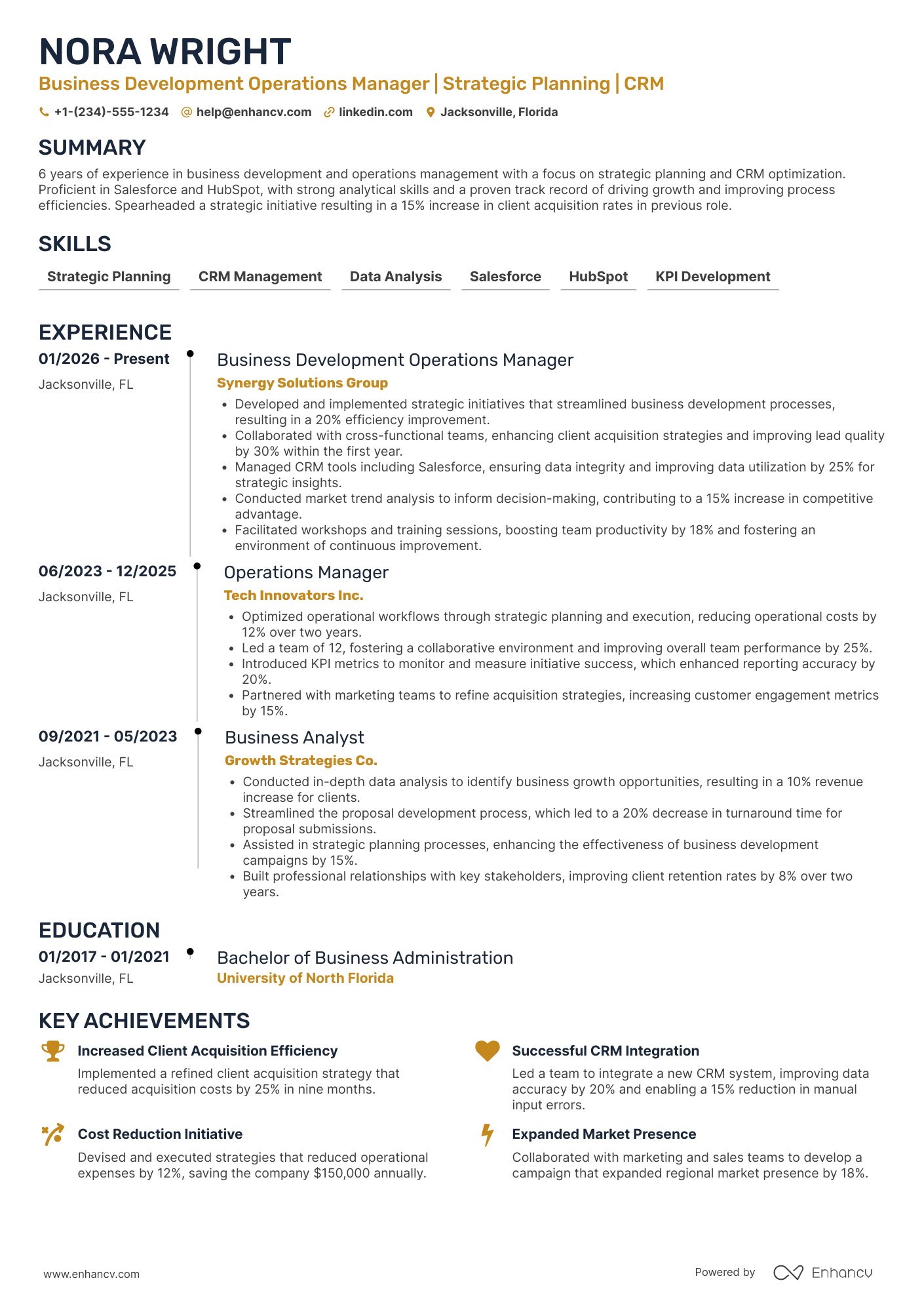 Business Development Operations Manager Resume Example