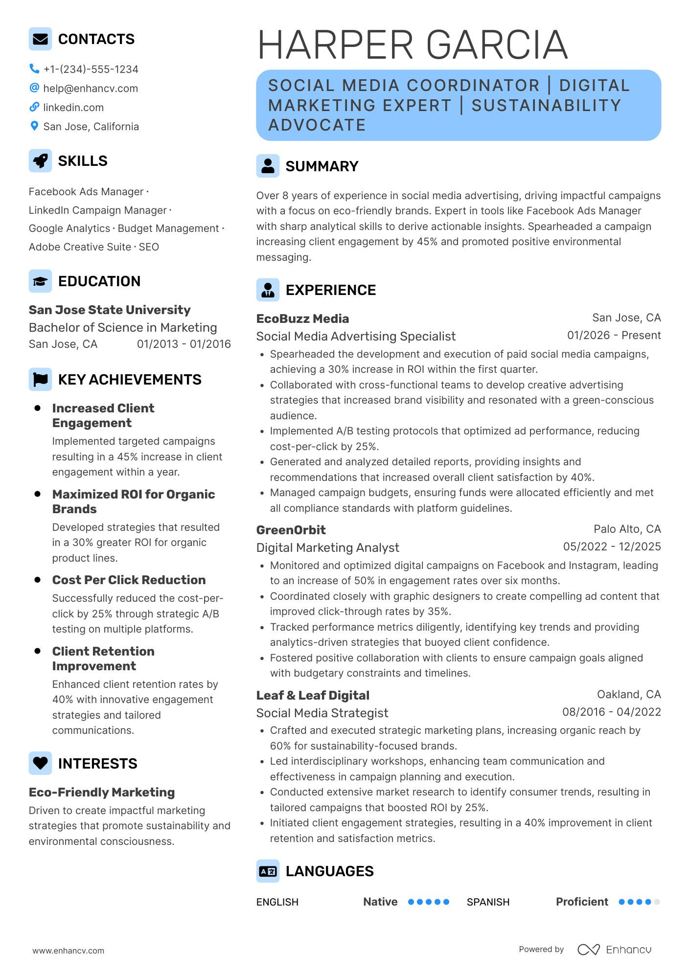 Social Media Advertising Coordinator Resume Example