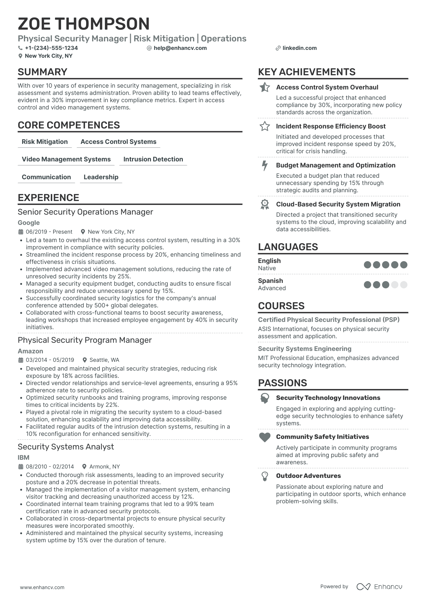 Chief Physical Security Officer Resume Example