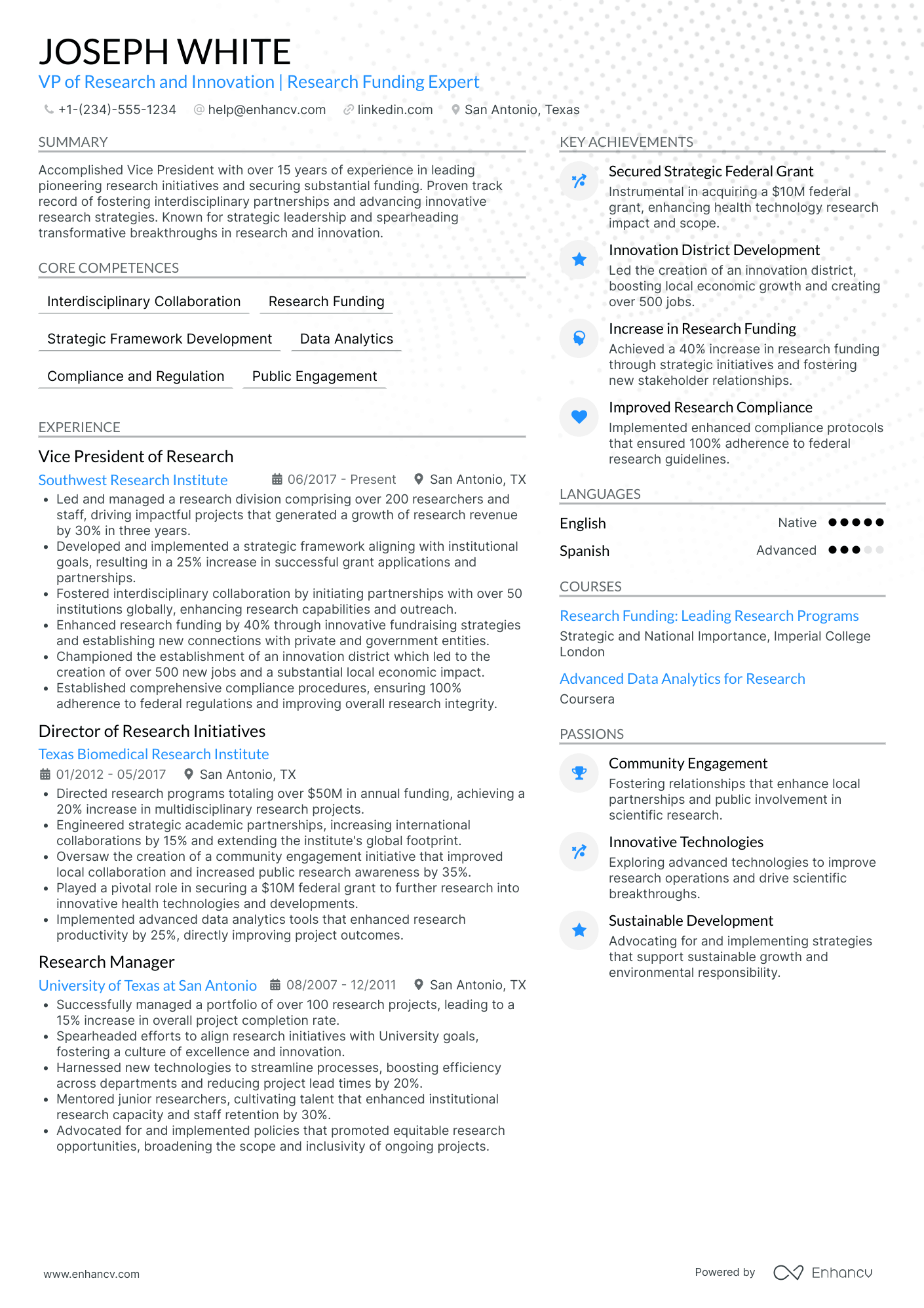 Chief Innovation and Research Officer Resume Example