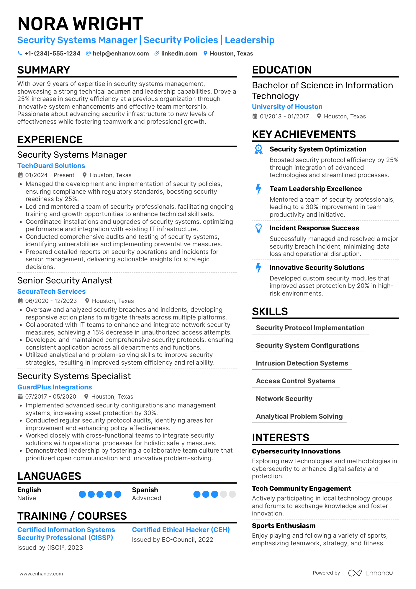 Security Systems Manager Resume Example