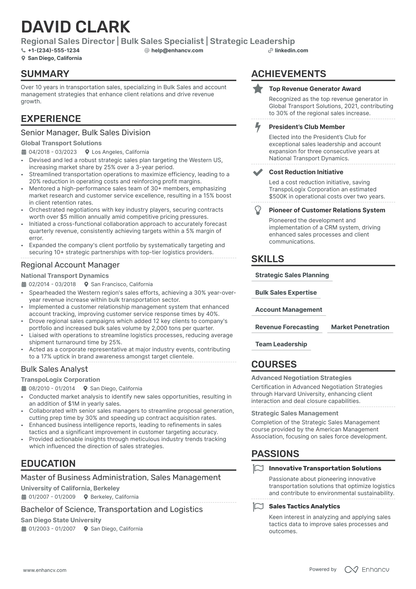 Regional Sales Director Resume Example