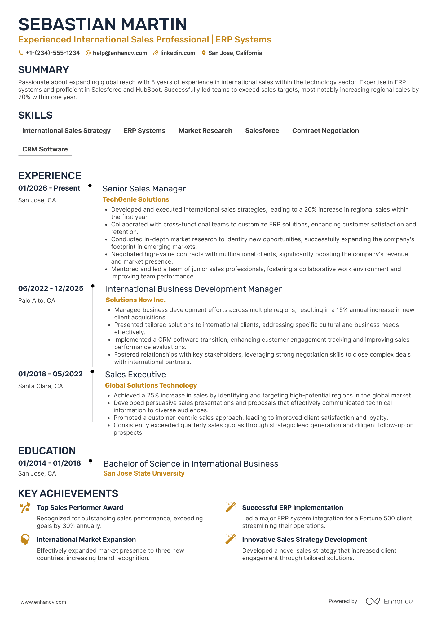 International Sales Professional Resume Example