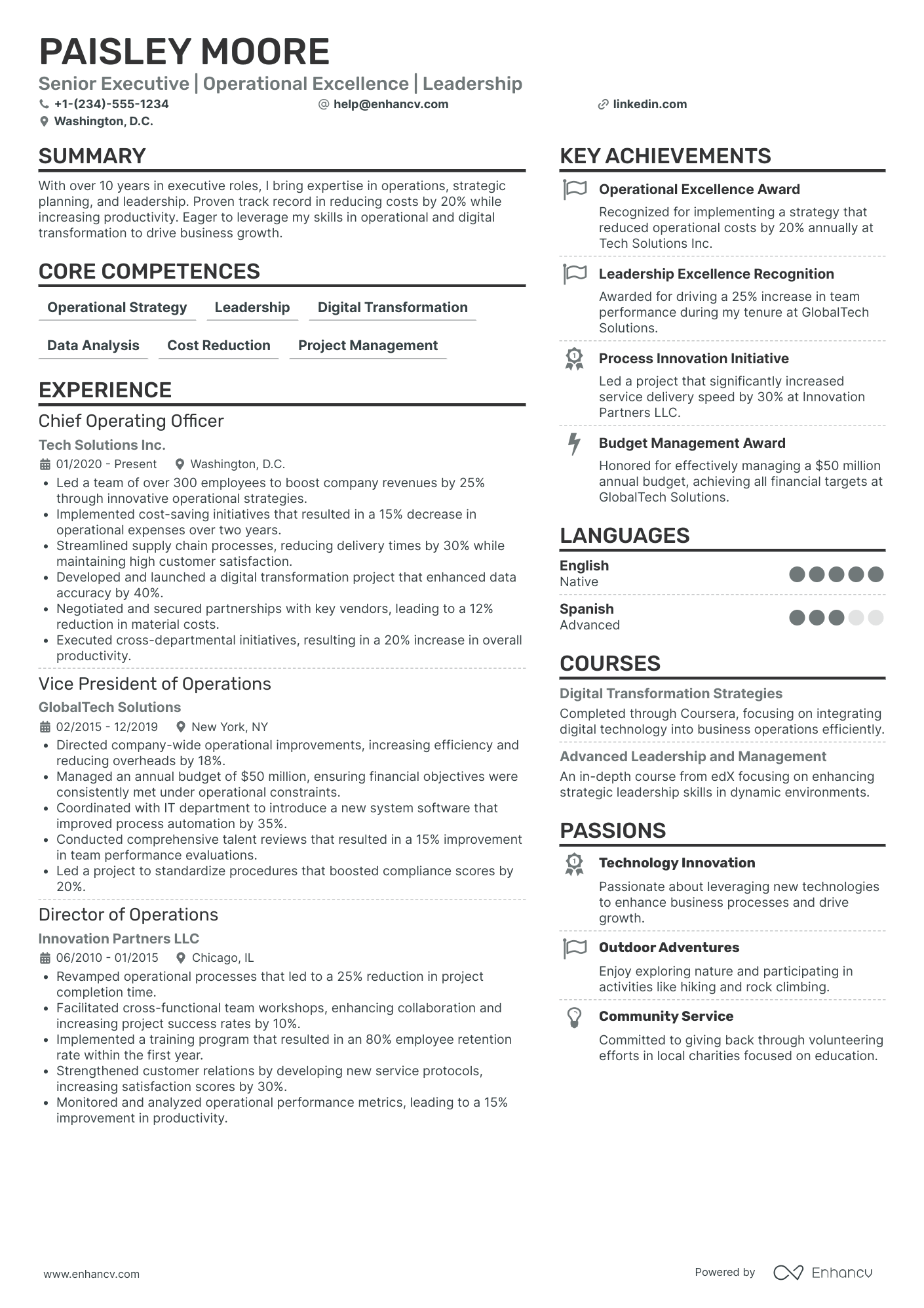 Chief User Experience Officer Resume Example
