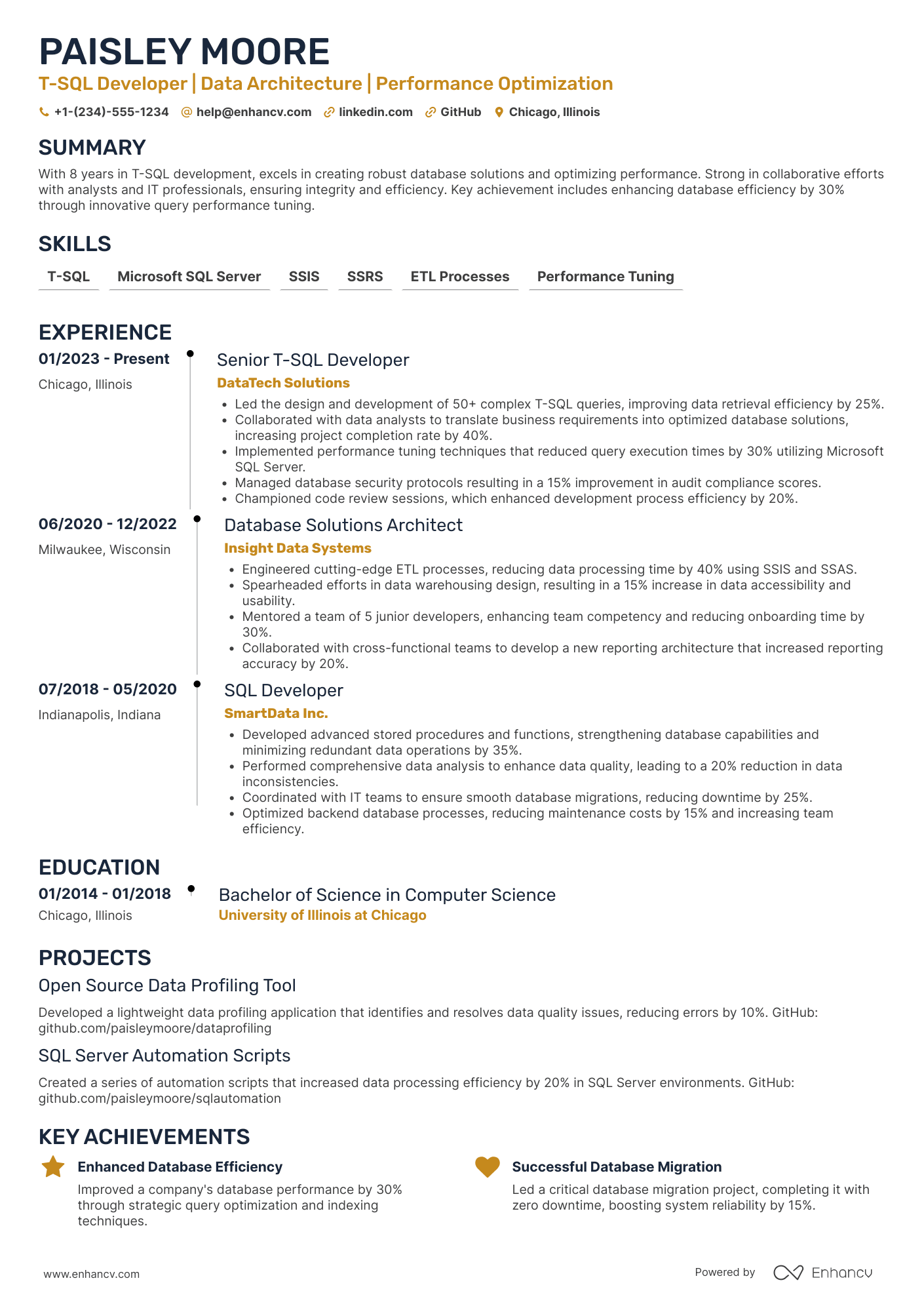 T SQL Developer Resume Example