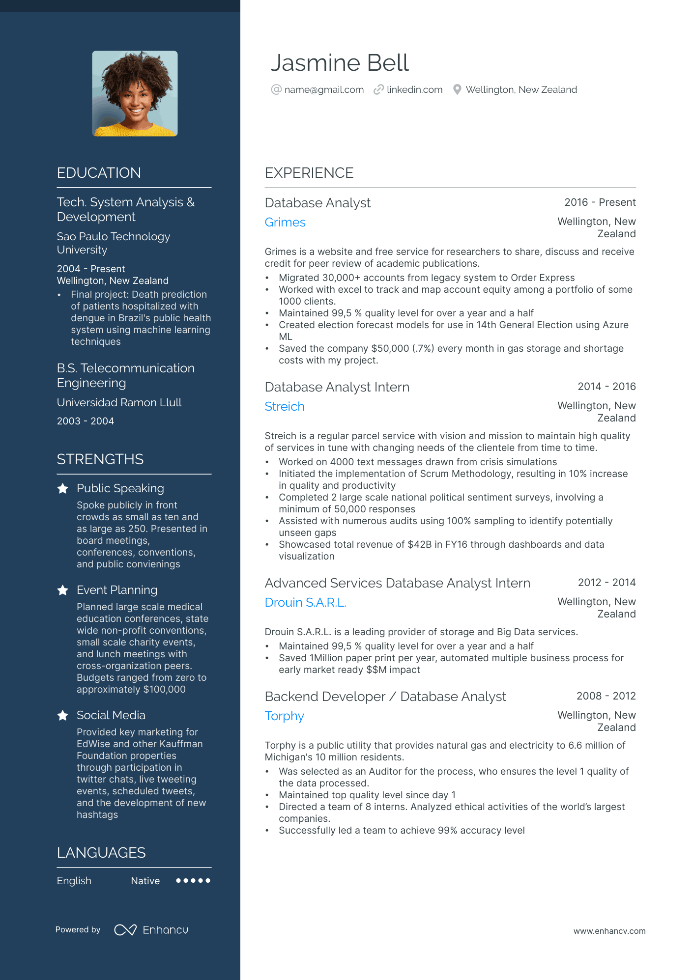 Database Analyst Resume Example