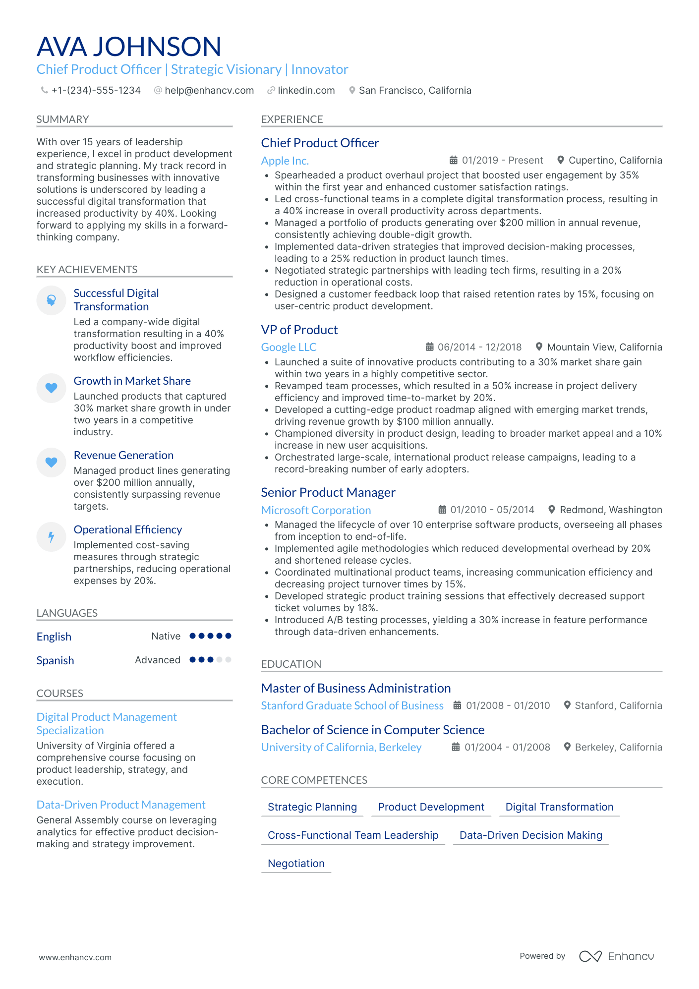Chief Information Officer in Media and Entertainment Resume Example