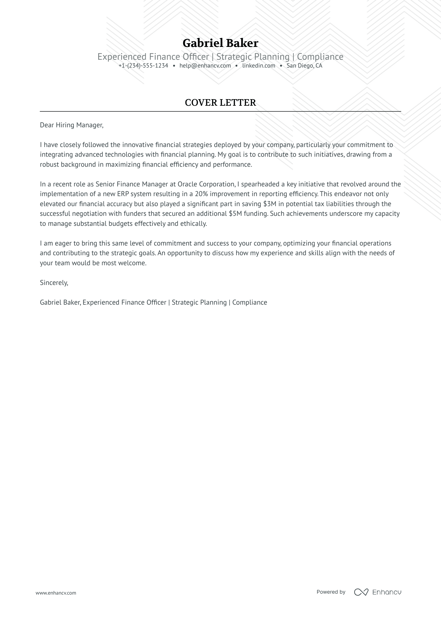 Finance Officer Resume Example