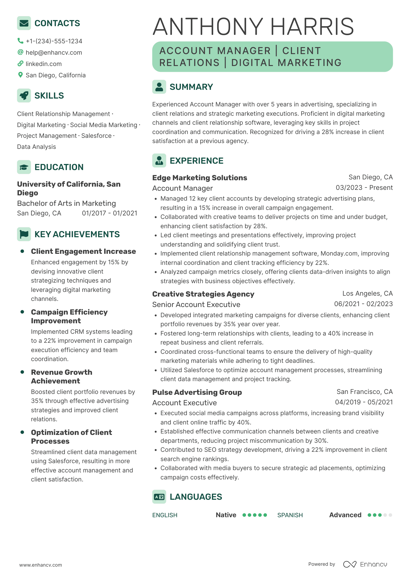 Advertising Agency Resume Example