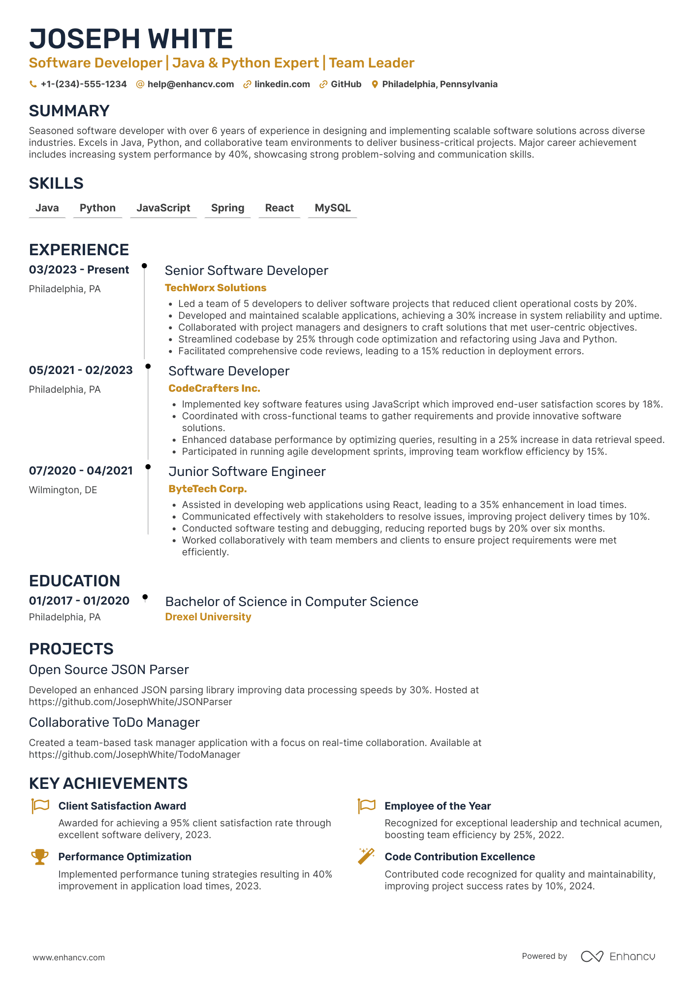 Software Development Contractor Resume Example