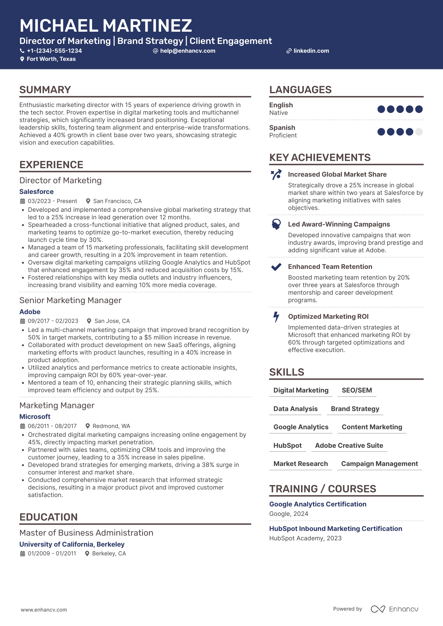 Director of Marketing Resume Example