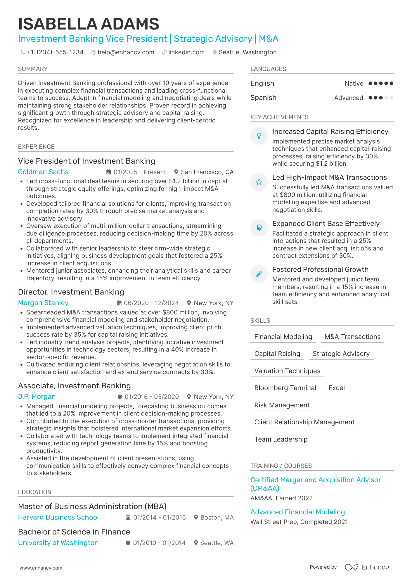 Investment Banking Vice President Resume Example
