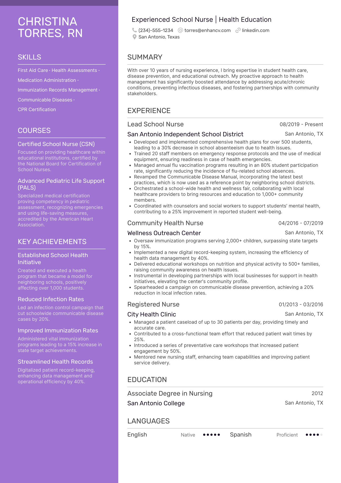 School Nurse Resume Example