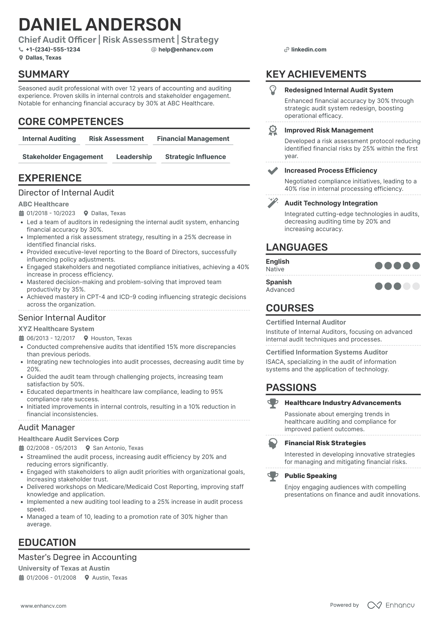 Chief Integrity and Audit Officer Resume Example