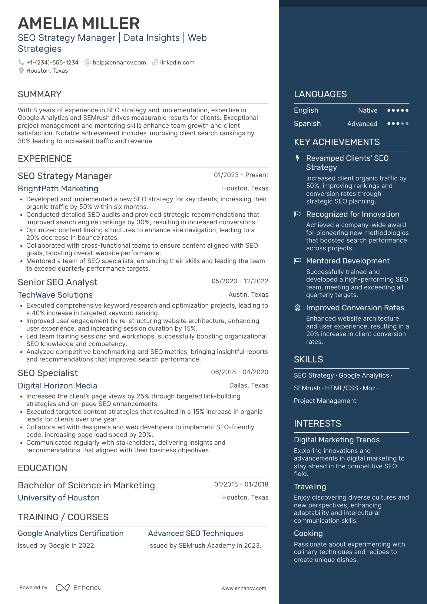 SEO Strategy Manager Resume Example
