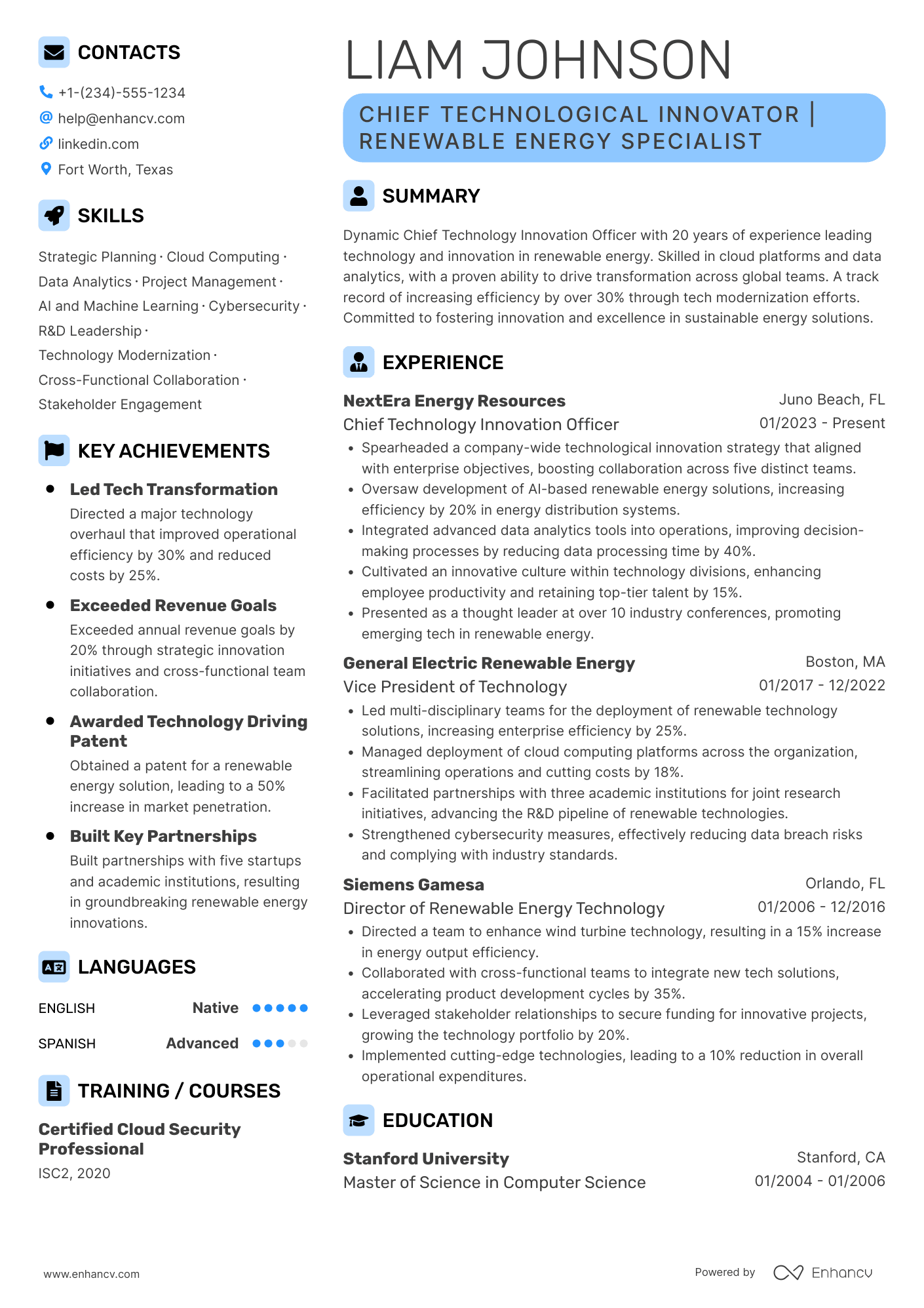Chief Technology Innovation Officer Resume Example
