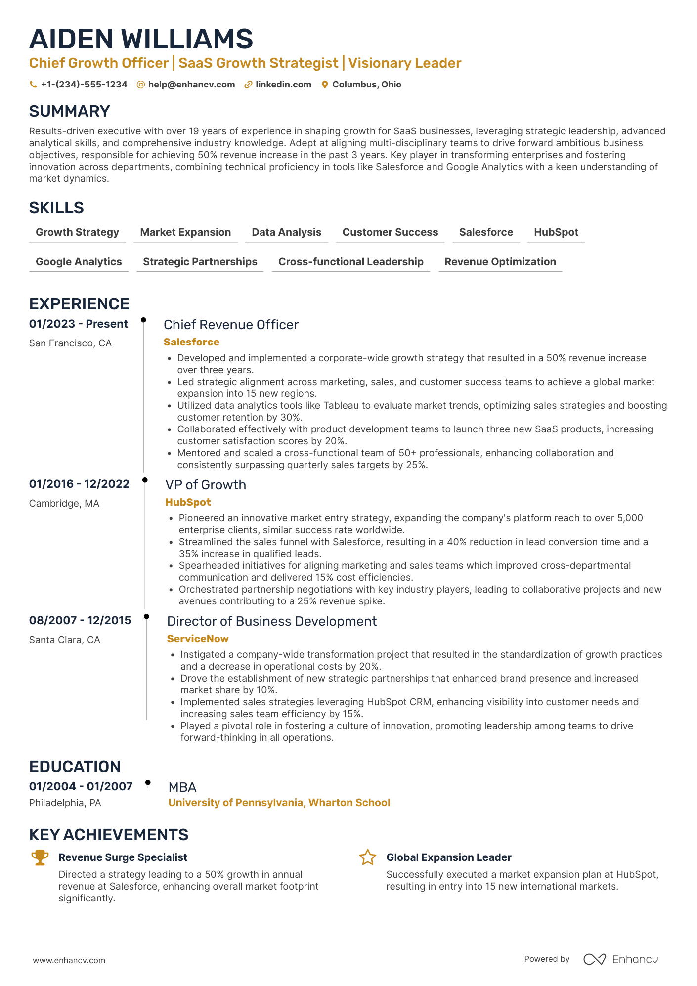 Chief Growth Officer for SaaS Resume Example