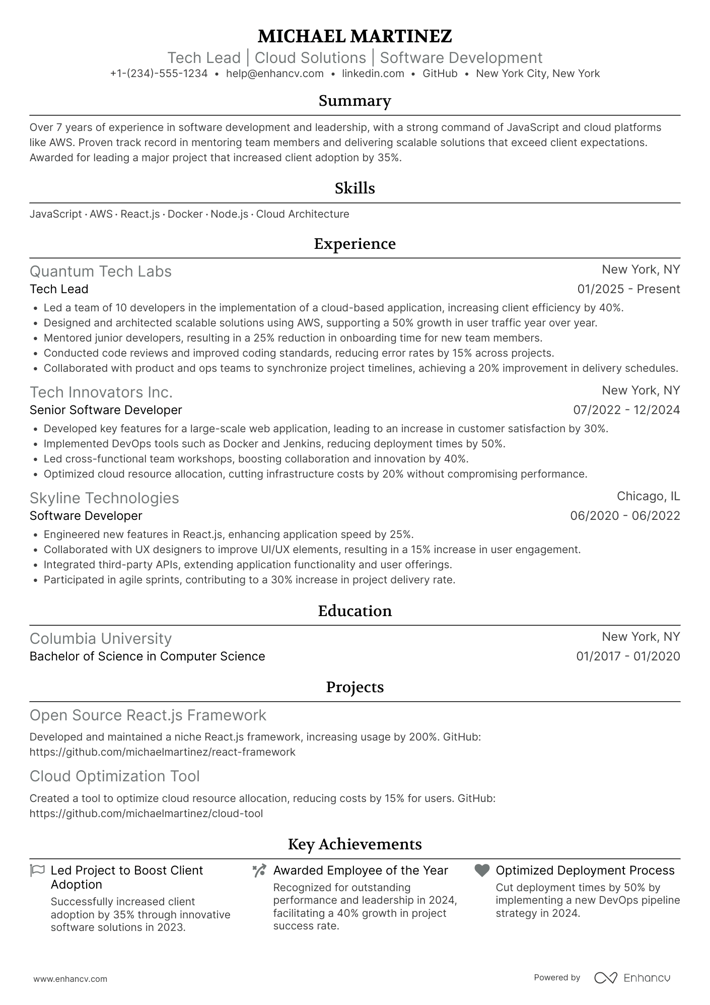 Tech Lead Resume Example