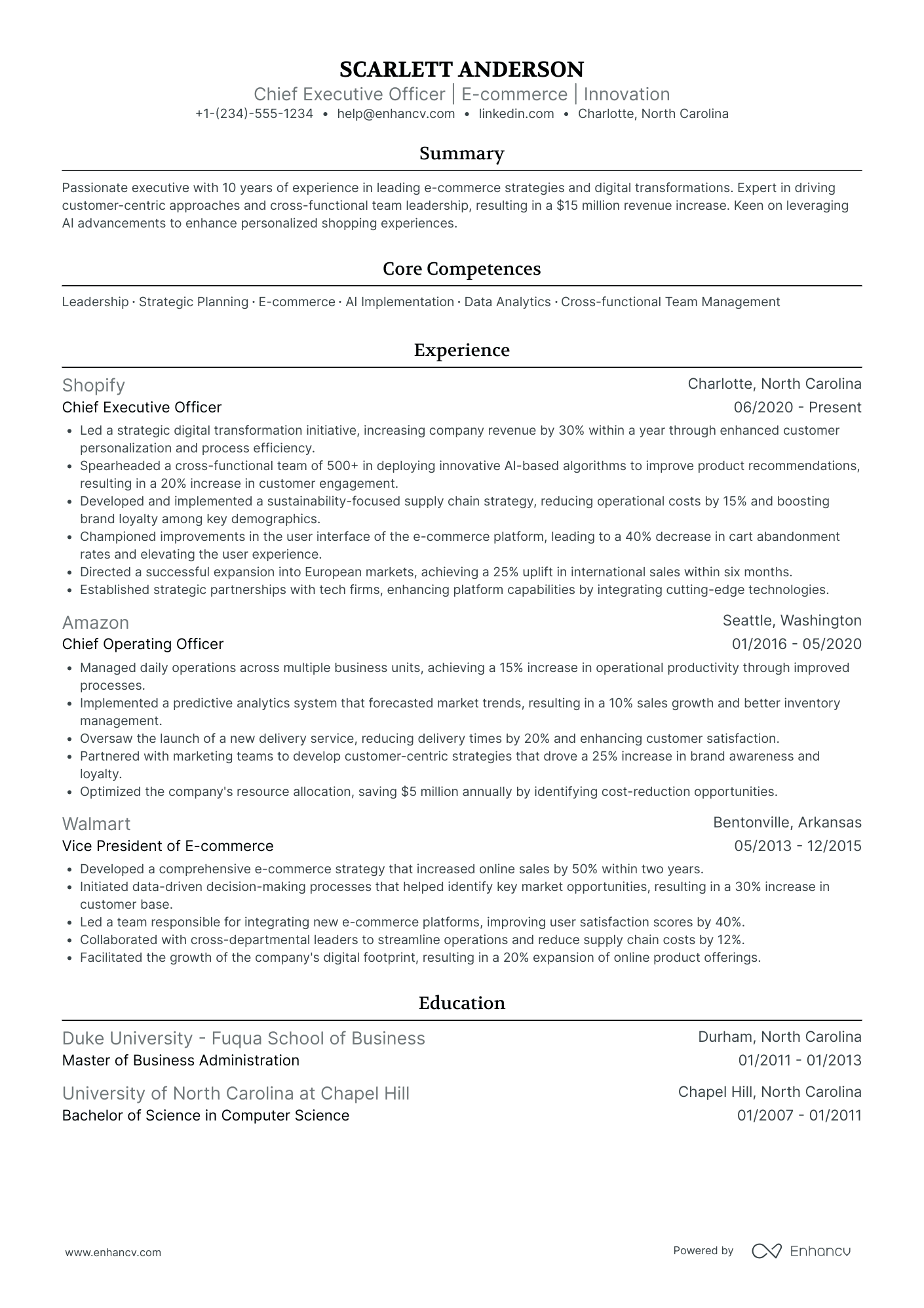 Chief Risk Officer in Healthcare Resume Example