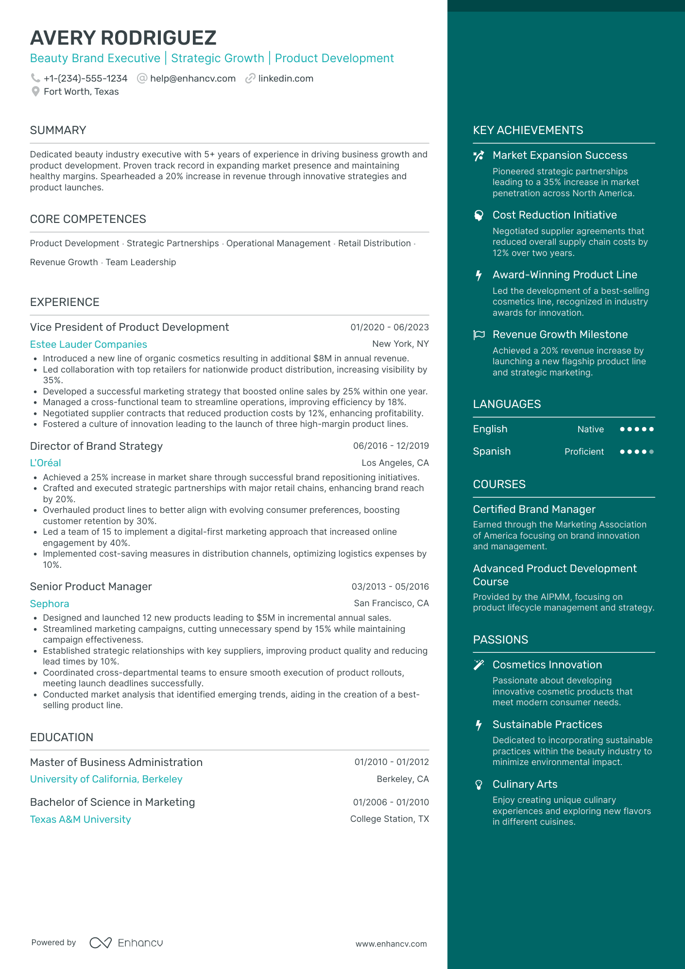 Chief Executive Officer in E commerce Resume Example