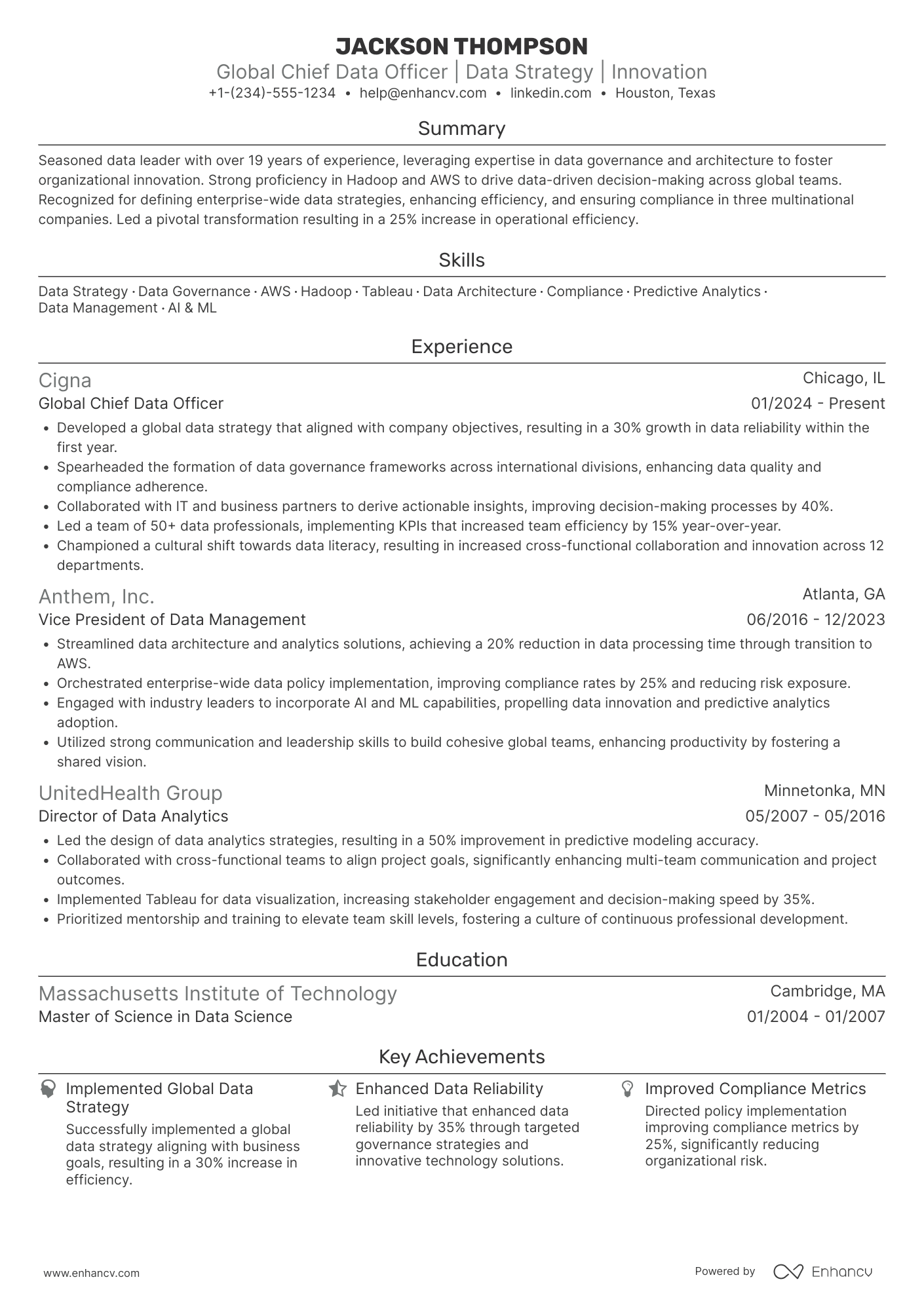 Global Chief Data Officer Resume Example