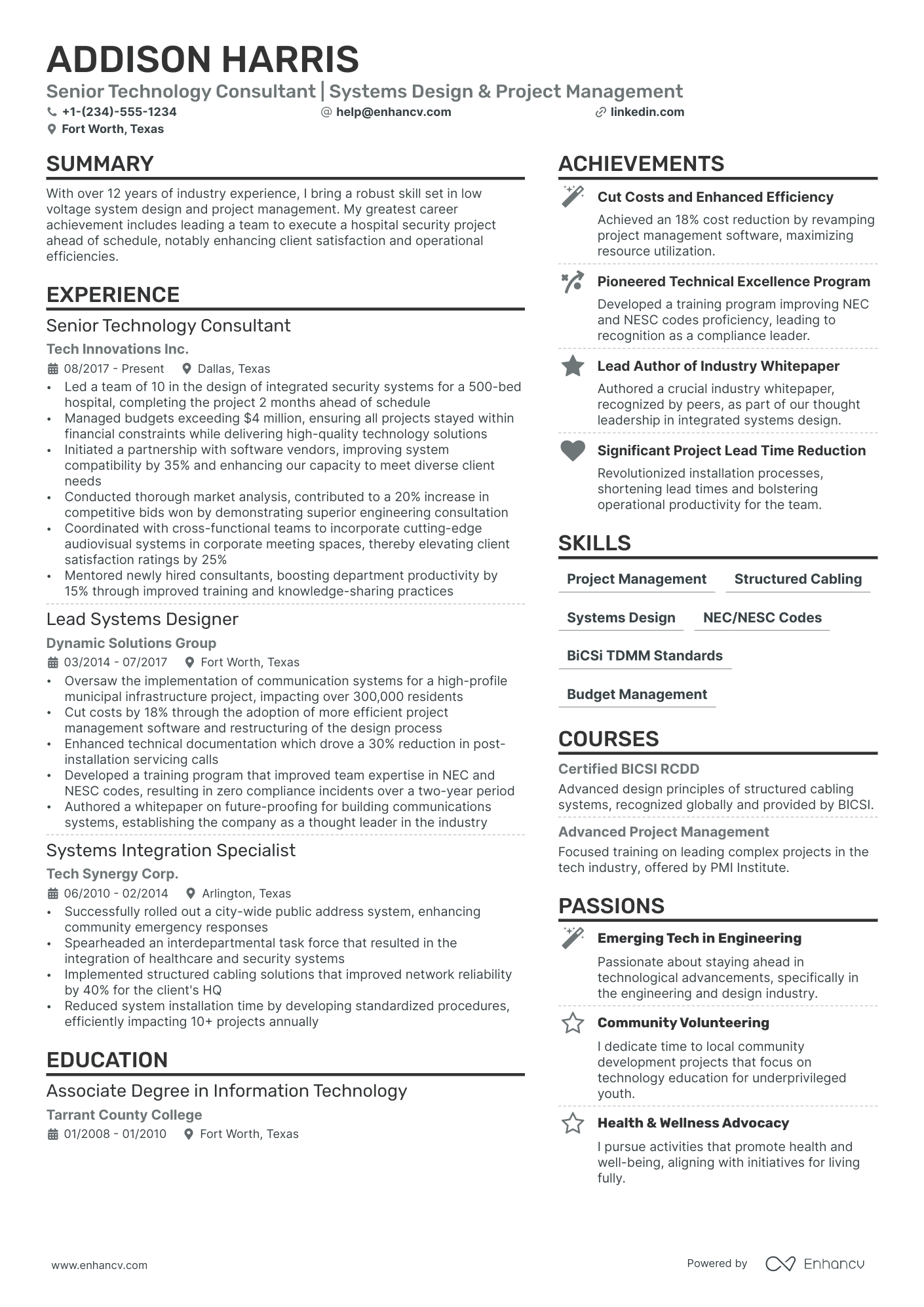 Technology Consultant Resume Example