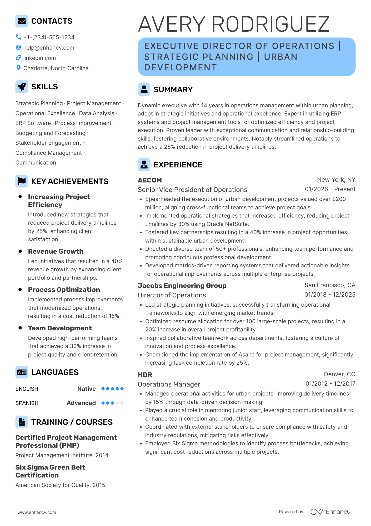 Executive Director of Operations Resume Example