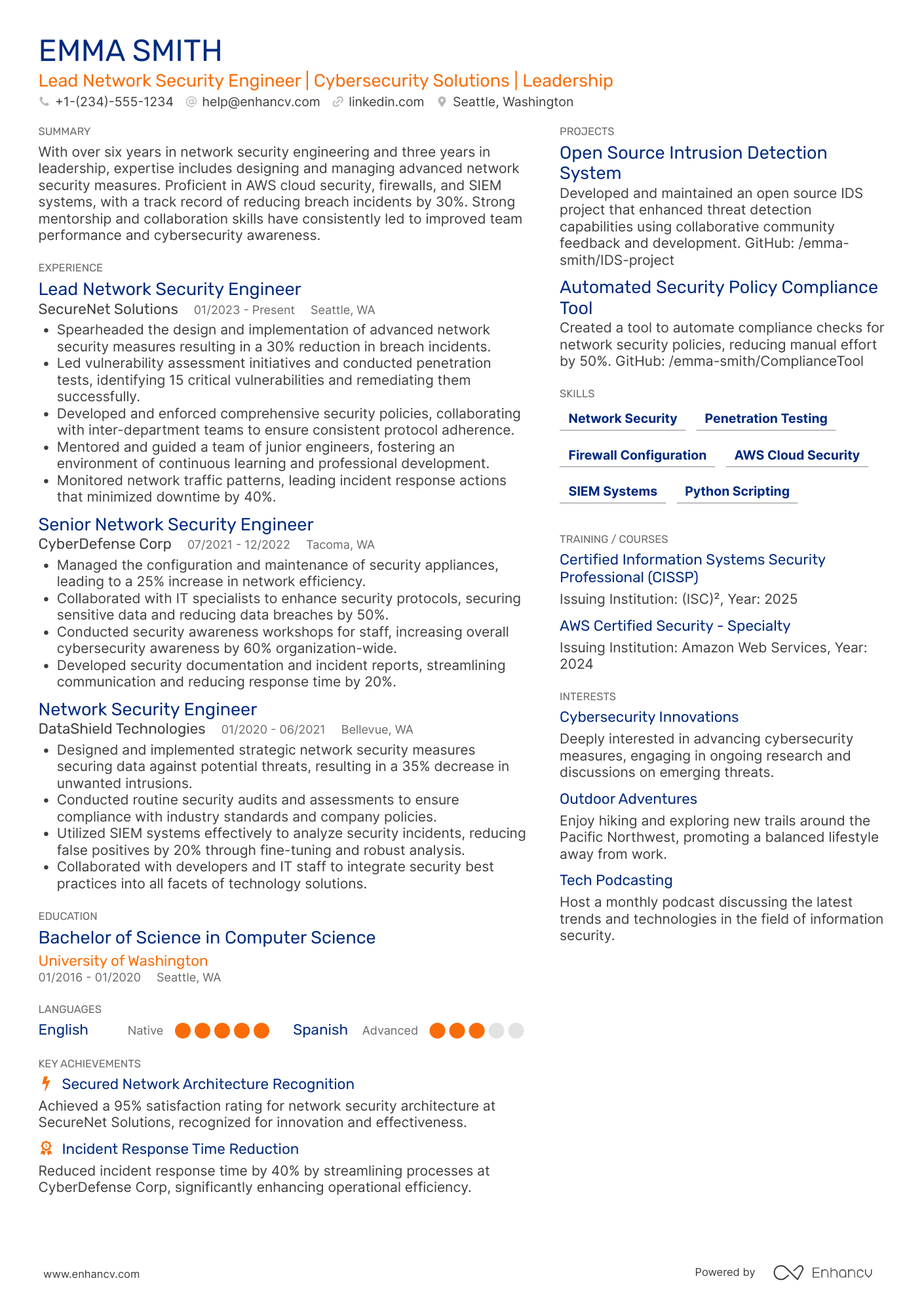 Lead Network Security Engineer Resume Example